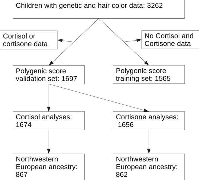 Cortisol Level Chart