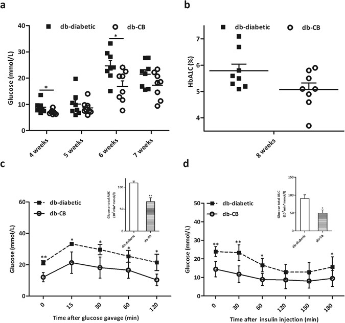 Anti-diabetic Effects of Clostridium butyricum CGMCC0313.1 through  Promoting the Growth of Gut Butyrate-producing Bacteria in Type 2 Diabetic  Mice