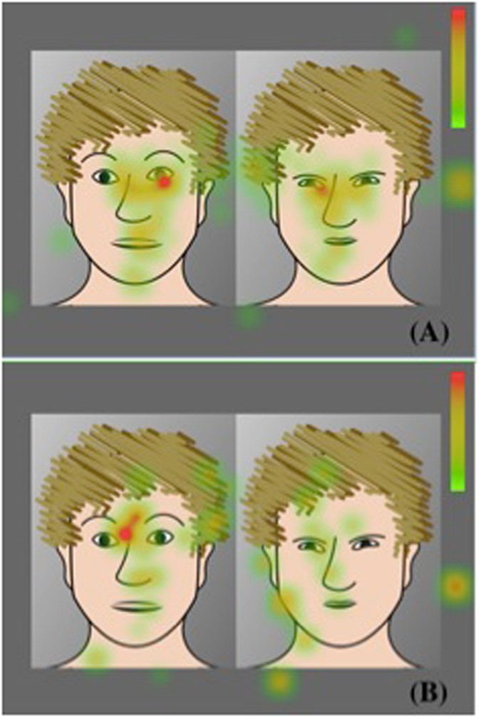 Effects of Facial Hair on Perception and Behavior  The Role of Face Hair  on How People Perceive Men