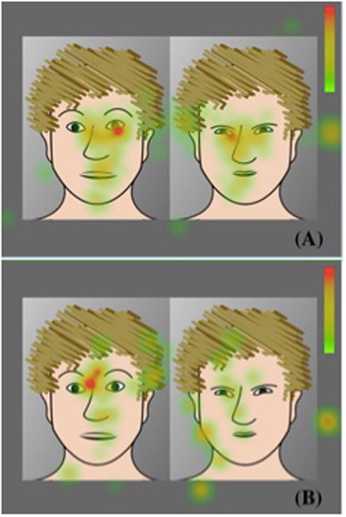 Effects of Facial Hair on Perception and Behavior