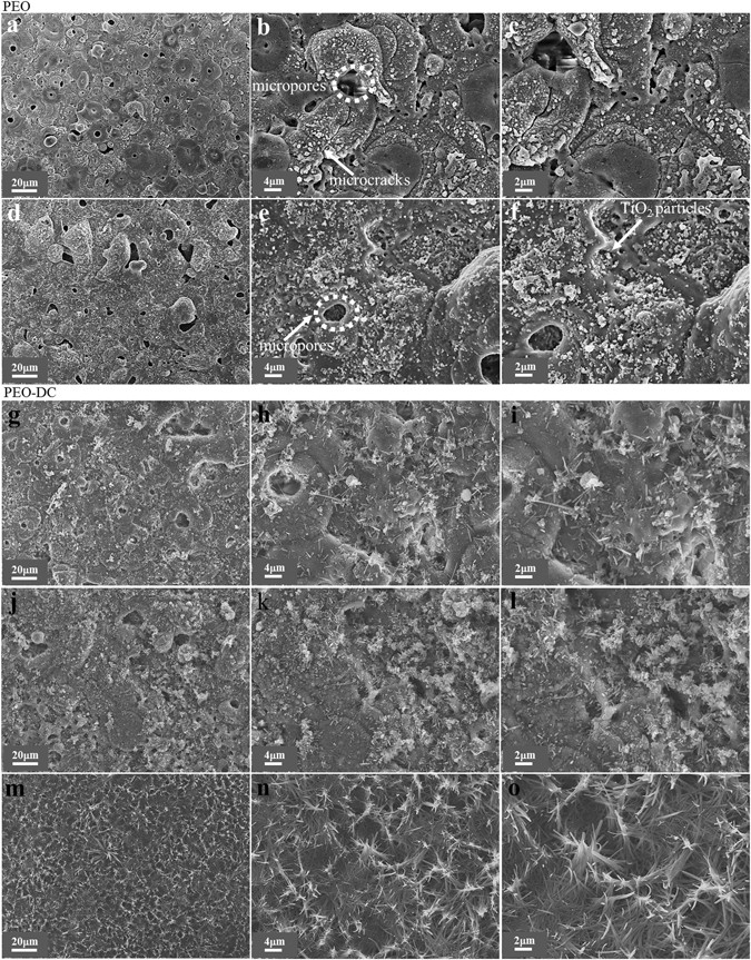 Hybrid Organic Inorganic Coatings Via Electron Transfer Behaviour Hybrid Organic Inorganic Coatings Via Electron Transfer Behaviour Scientific Reports