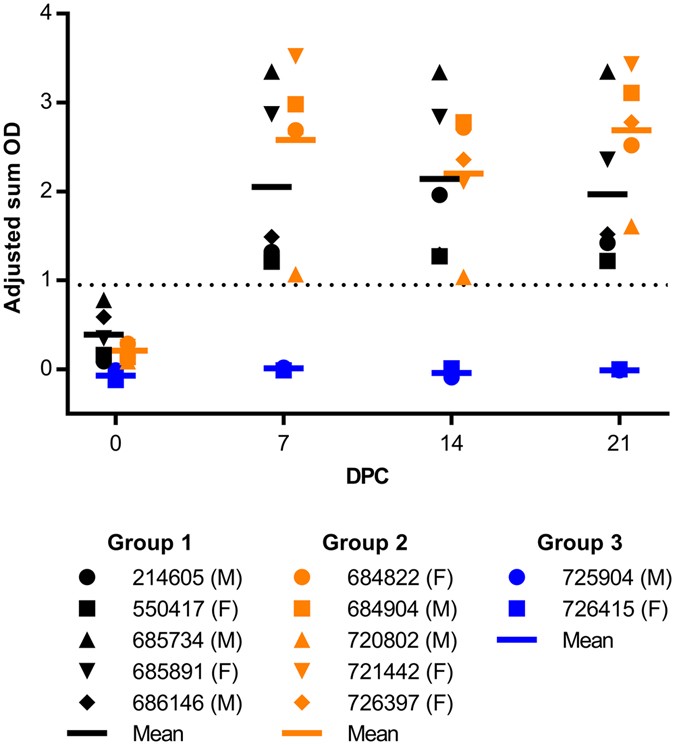 Egyptian Rousette Bats Maintain Long Term Protective Immunity Egyptian Rousette Bats Maintain Long Term Protective Immunity Against Marburg Virus Infection Despite Diminished Antibody Levels Scientific Reports