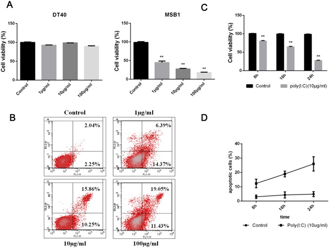 Double Stranded Rna Induces Chicken T Cell Lymphoma Apoptosis By Trif And Nf Kb Scientific Reports