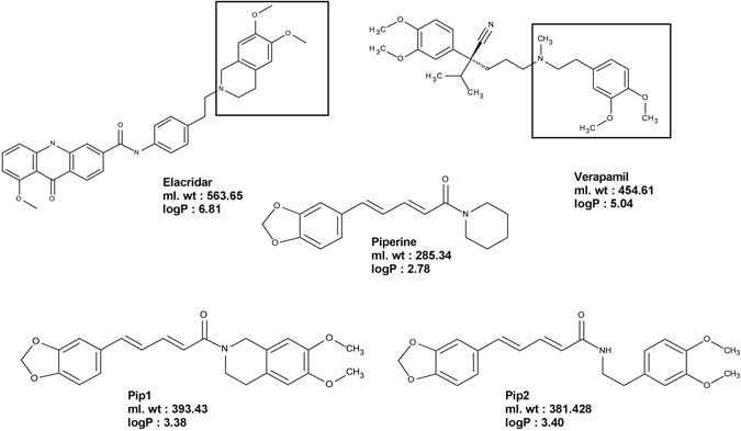 Targeting P-glycoprotein: Investigation of piperine analogs for ...