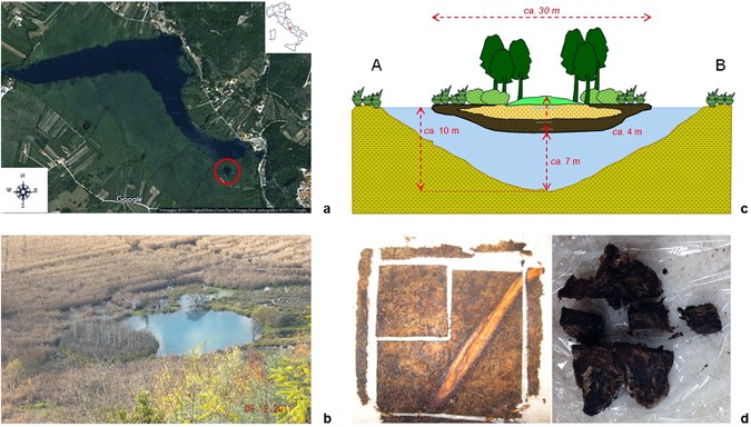 Rapid peat accumulation favours the occurrence of both fen and bog  microbial communities within a Mediterranean, free-floating peat island |  Scientific Reports