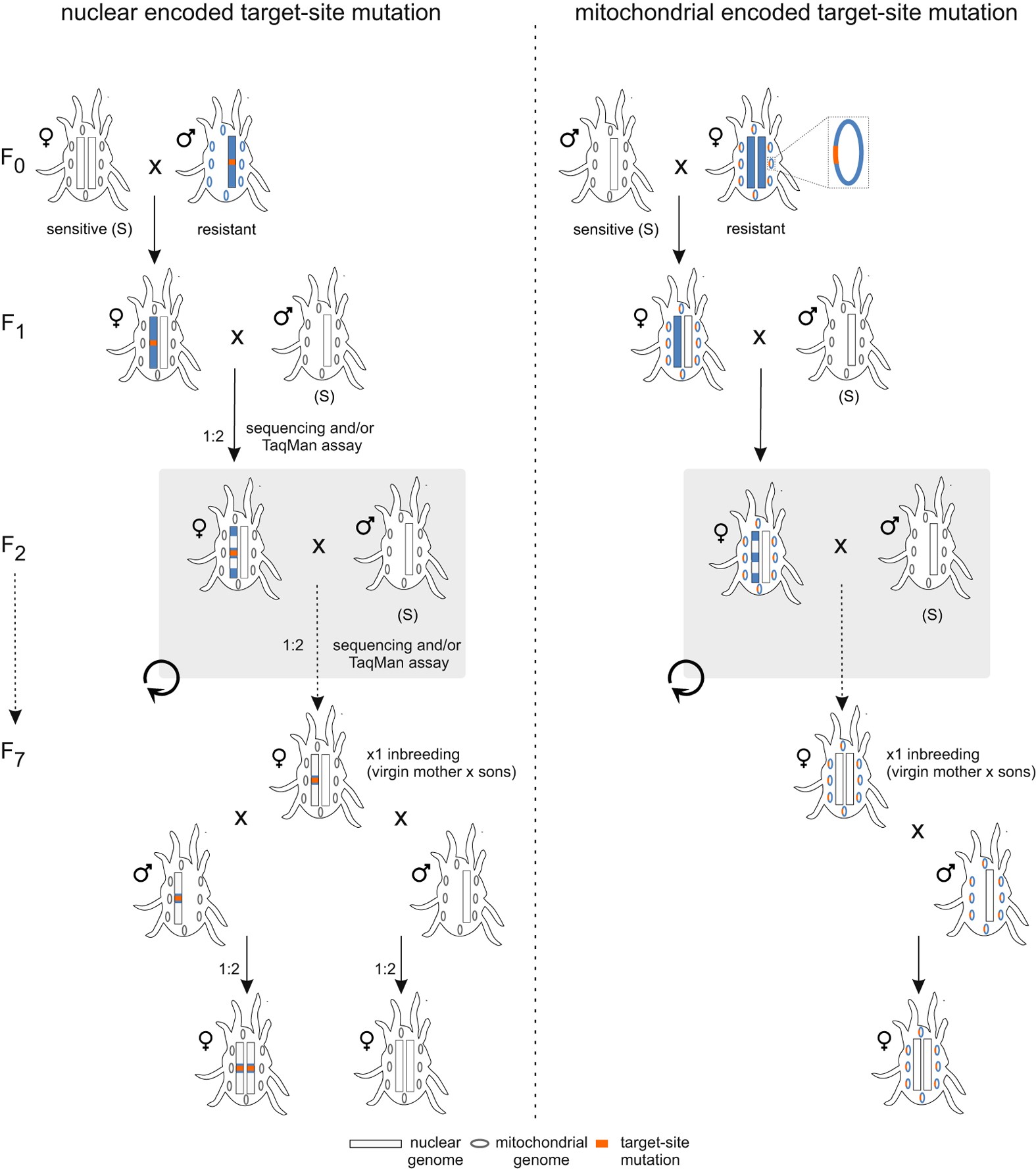 The Relative Contribution Of Target Site Mutations In Complex