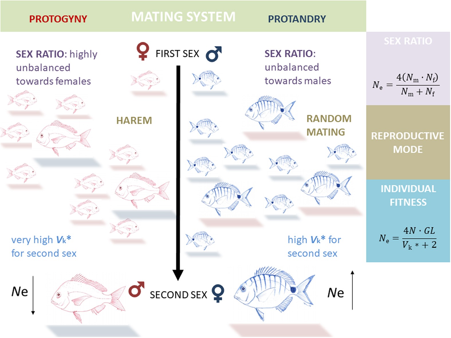 Fish as a sexual symbol images 48