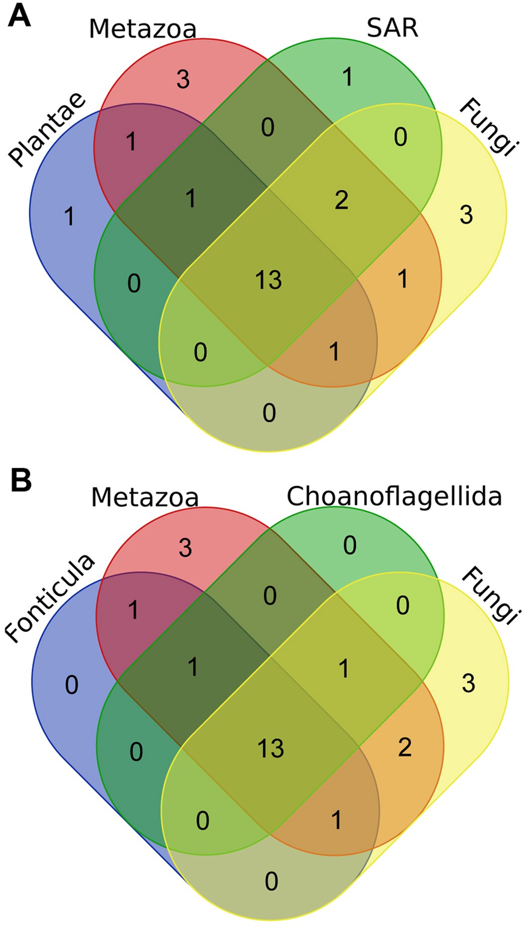 Fungal lifestyle reflected in serine protease repertoire | Scientific Reports Fungal lifestyle reflected in serine protease repertoire | Scientific Reports
