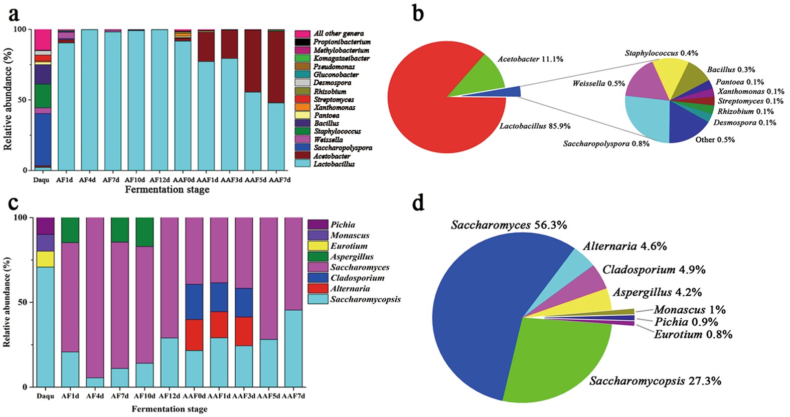 Unraveling The Correlation Between Microbiota Succession And