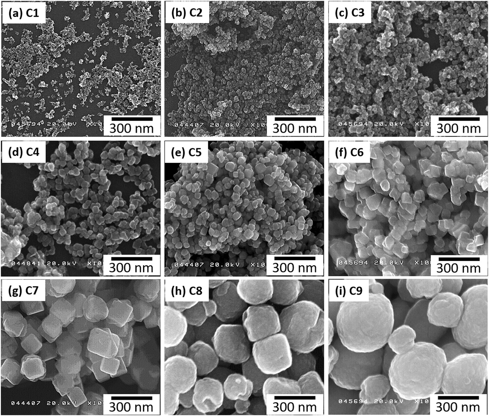 Correlation between particle size/domain structure and magnetic properties  of highly crystalline Fe3O4 nanoparticles | Scientific Reports
