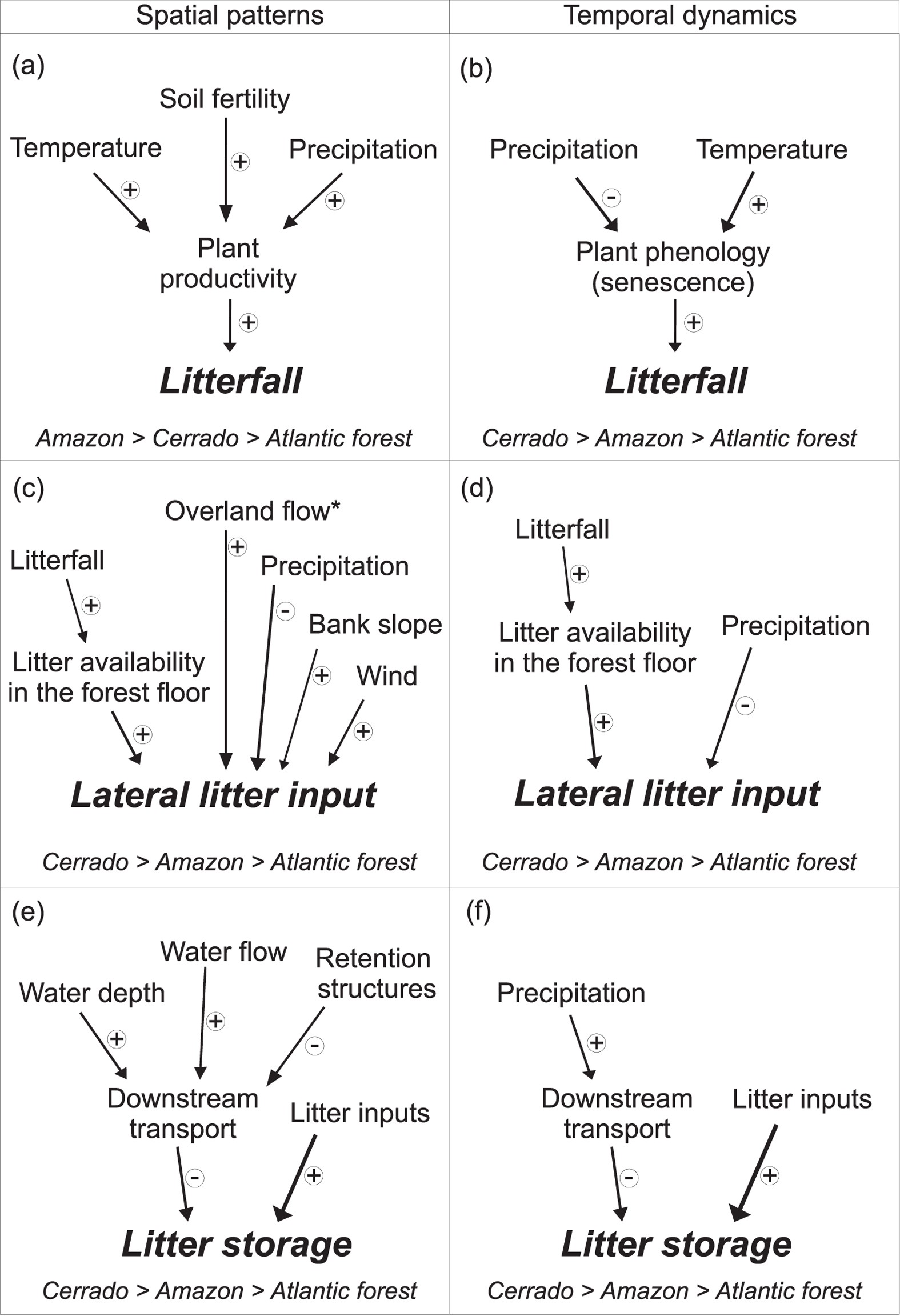 Plant Litter Dynamics In The Forest Stream Interface Precipitation Is A Plant Litter Dynamics In The Forest Stream Interface Precipitation Is A
