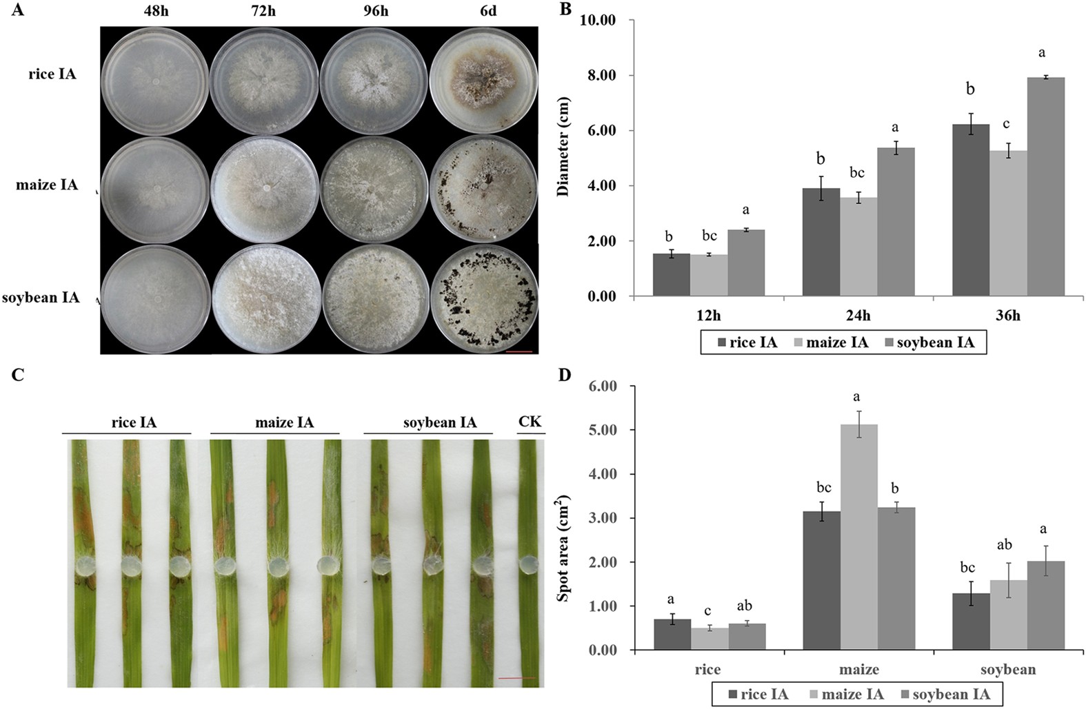 Frontiers  Characterization of fungal pathogens and germplasm