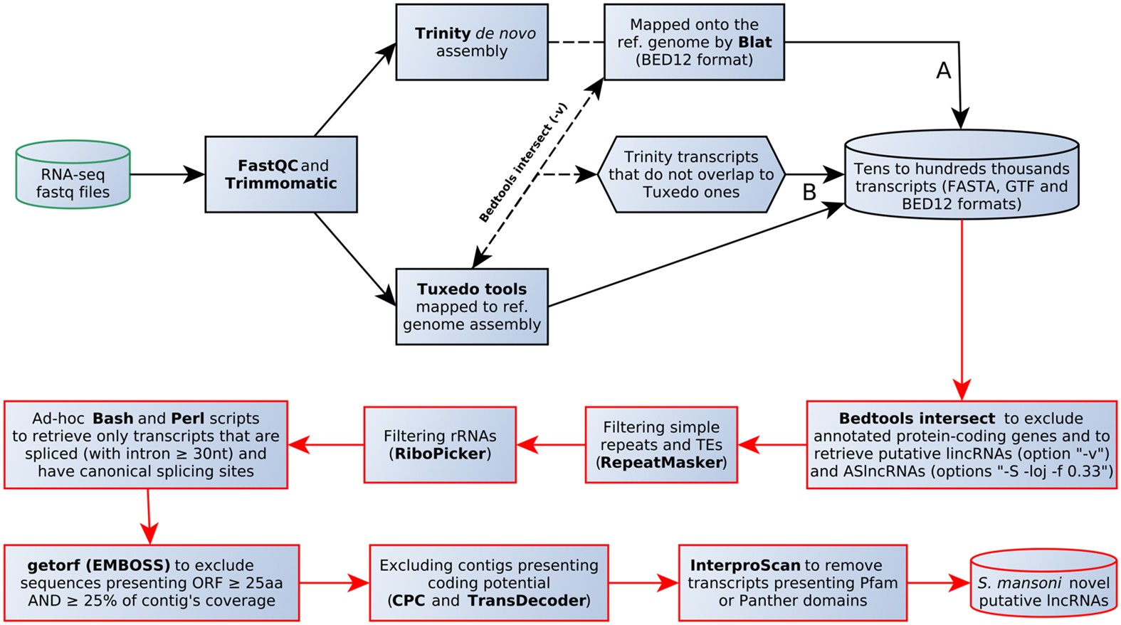 The Schistosoma Mansoni Genome Encodes Thousands Of Long Non Coding Rnas Predicted To Be Functional At Different Parasite Life Cycle Stages Scientific Reports