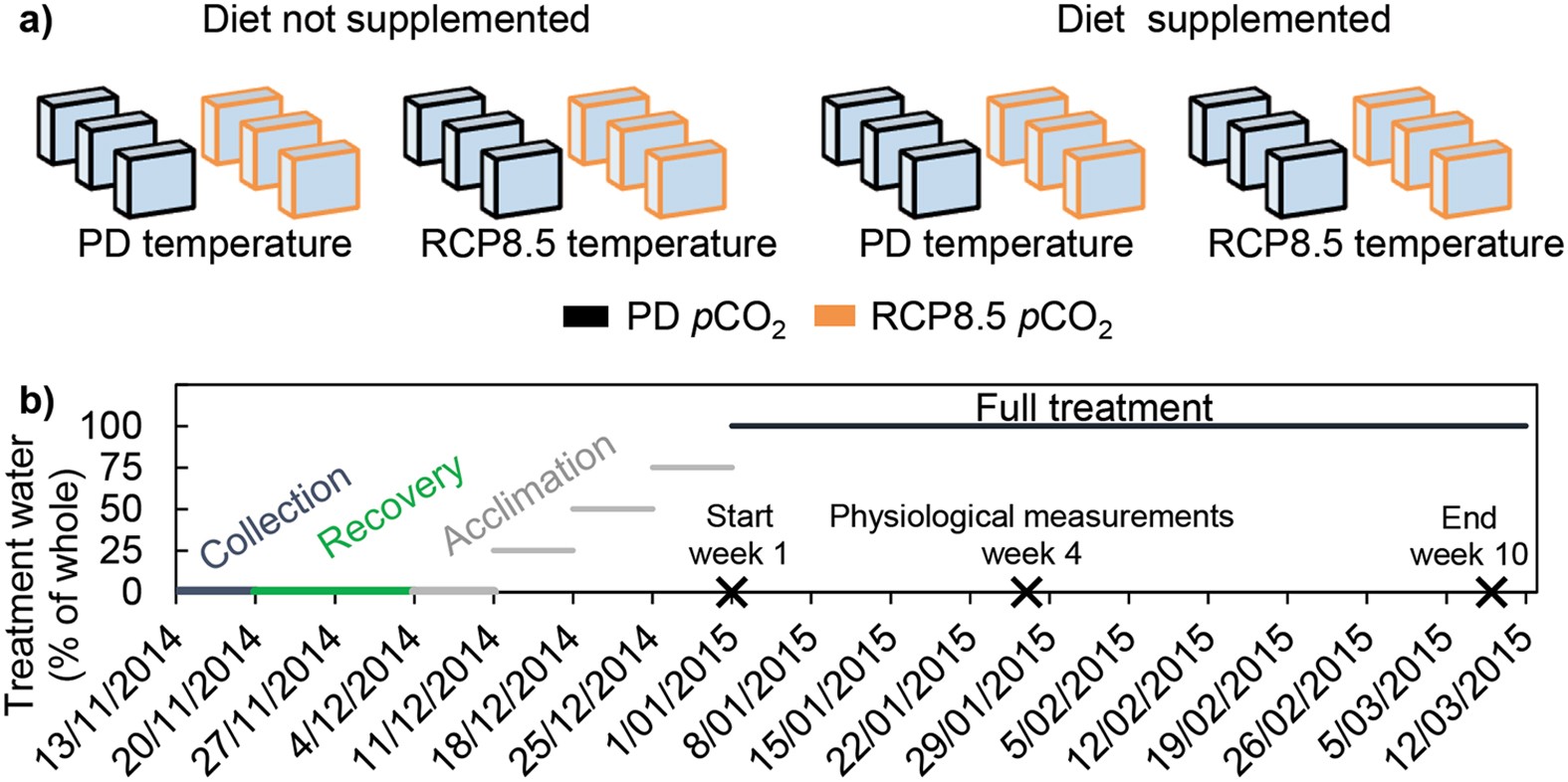 Sponge Bioerosion On Changing Reefs Ocean Warming Poses Physiological Constraints To The Success Of A Photosymbiotic Excavating Sponge Scientific Reports Sponge Bioerosion On Changing Reefs Ocean Warming Poses Physiological Constraints To The Success Of A Photosymbiotic Excavating Sponge Scientific Reports