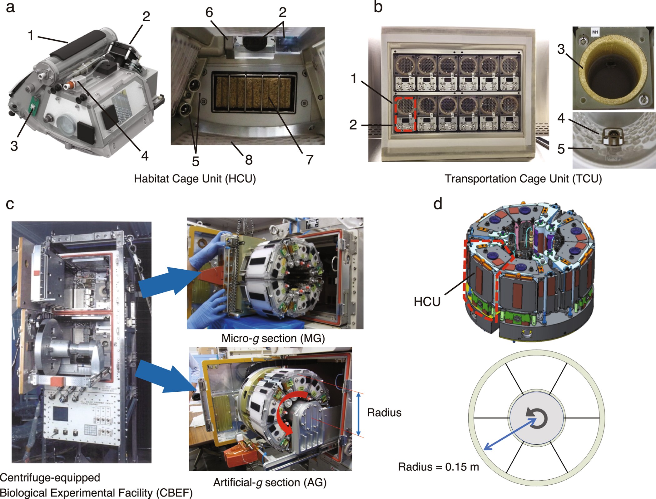 Development of new experimental platform 'MARS'—Multiple Artificial-gravity Research System—to elucidate the impacts of micro/partial gravity on mice | Scientific Reports Development of new experimental platform 'MARS'—Multiple Artificial-gravity Research System—to elucidate the impacts of micro/partial gravity on mice | Scientific Reports