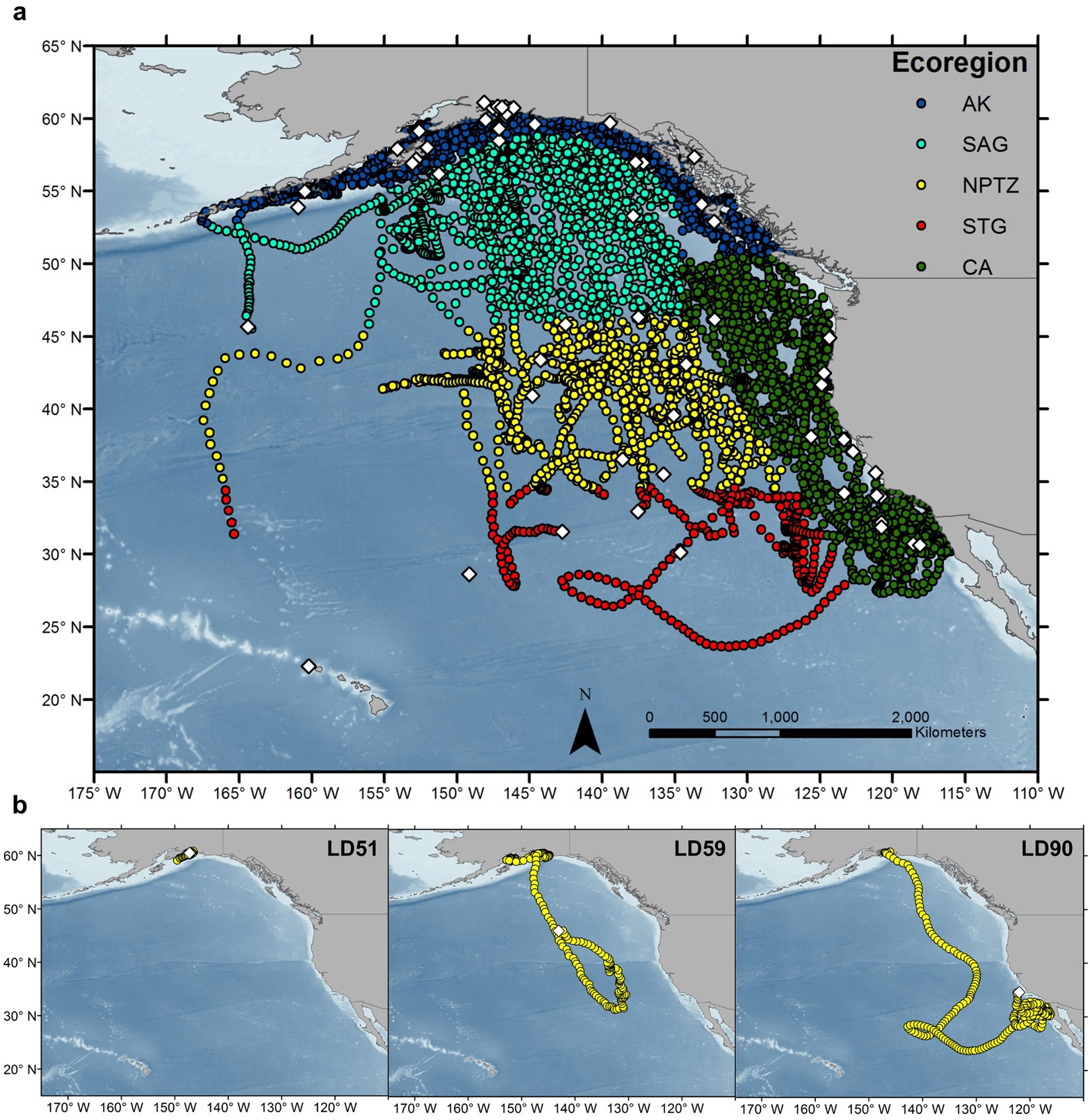 oceanographic drivers of the