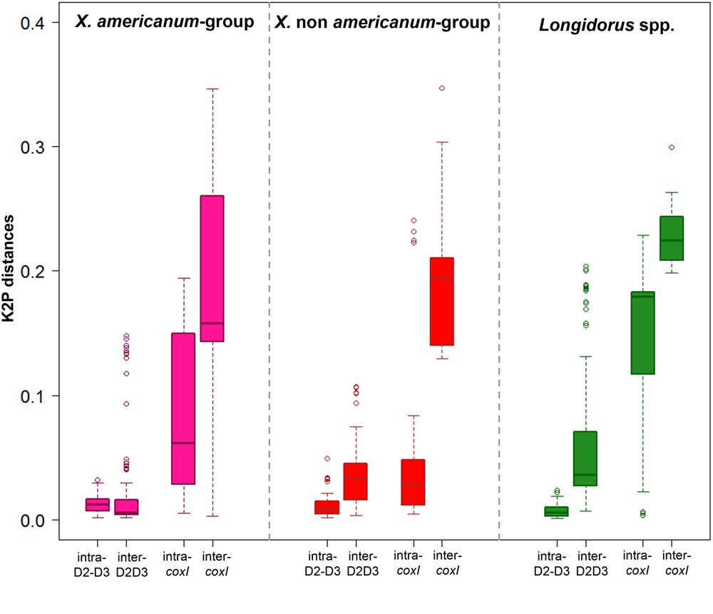 The Utility Of Mtdna And Rdna For Barcoding And Phylogeny Of Plant - 