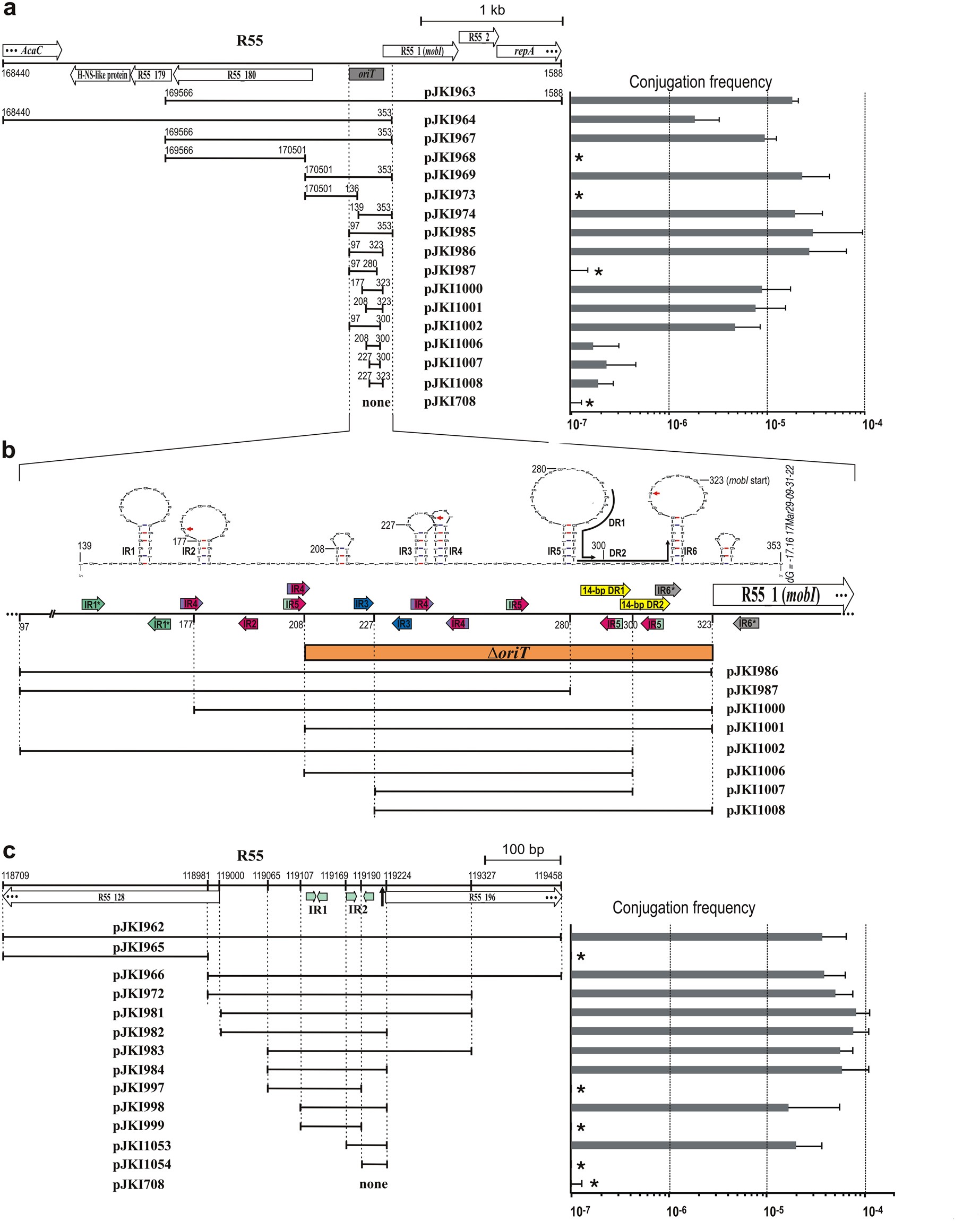 Model of exchange of the DNA region flanked by oriT and Xer