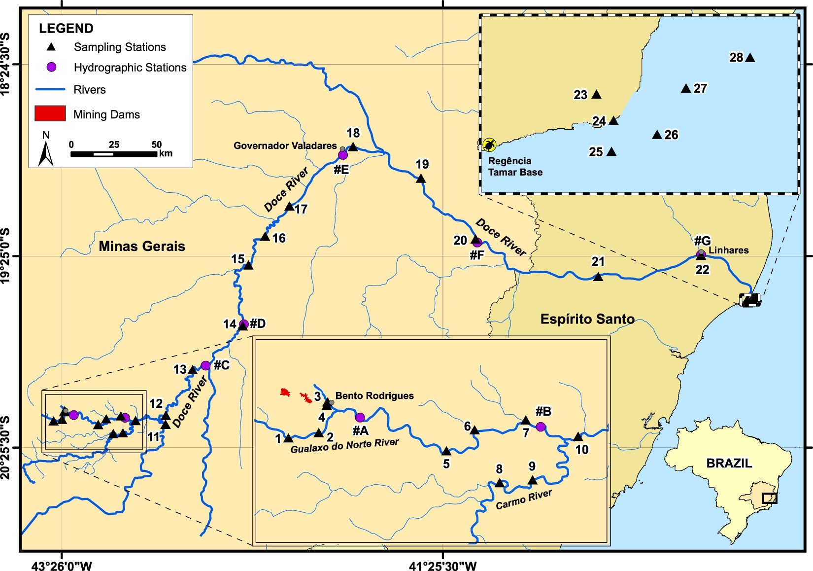 The environmental impacts of one of the largest tailing dam failures  worldwide | Scientific Reports