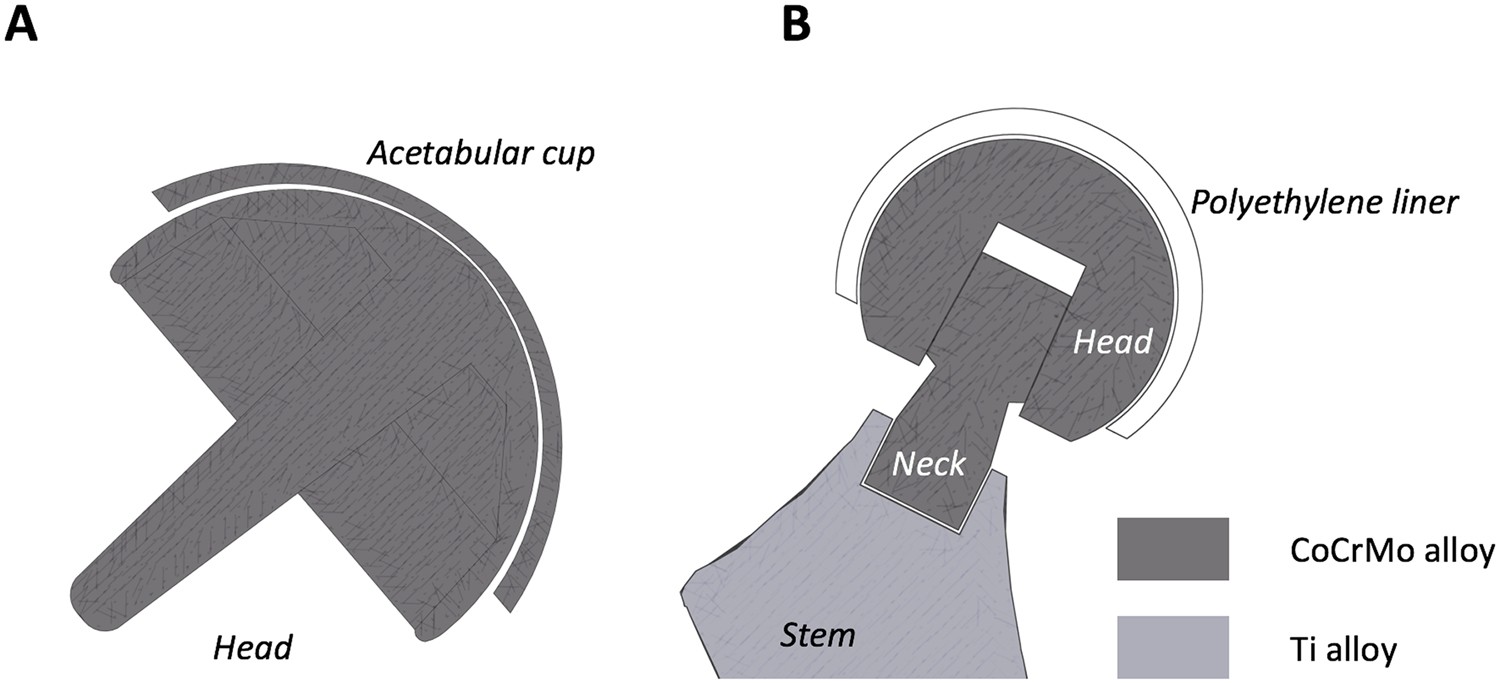 rotary friction welding titanium ceramic hip implant cross section