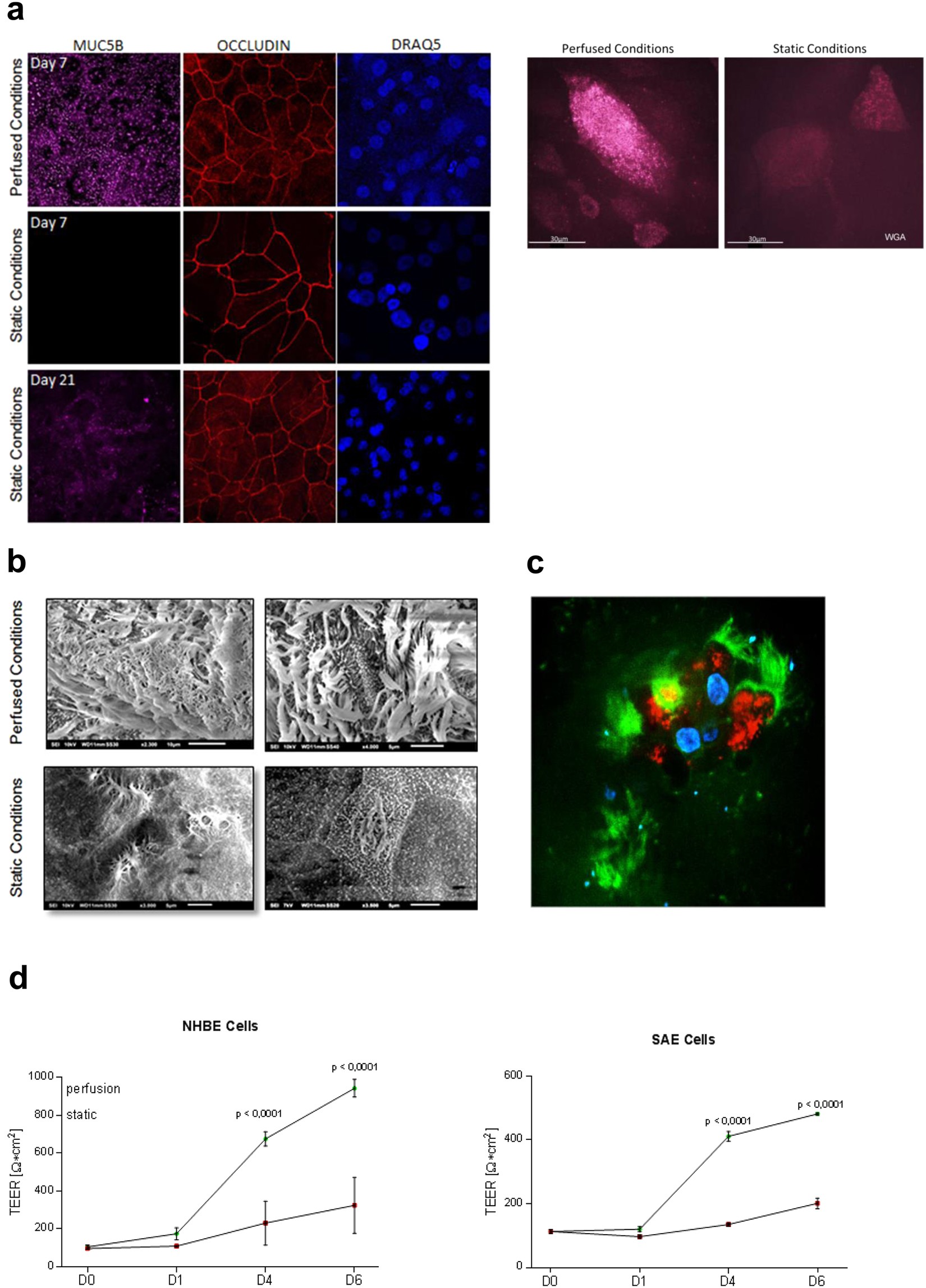 The Best Software For Driver Updates The Best Software For Driver Updates