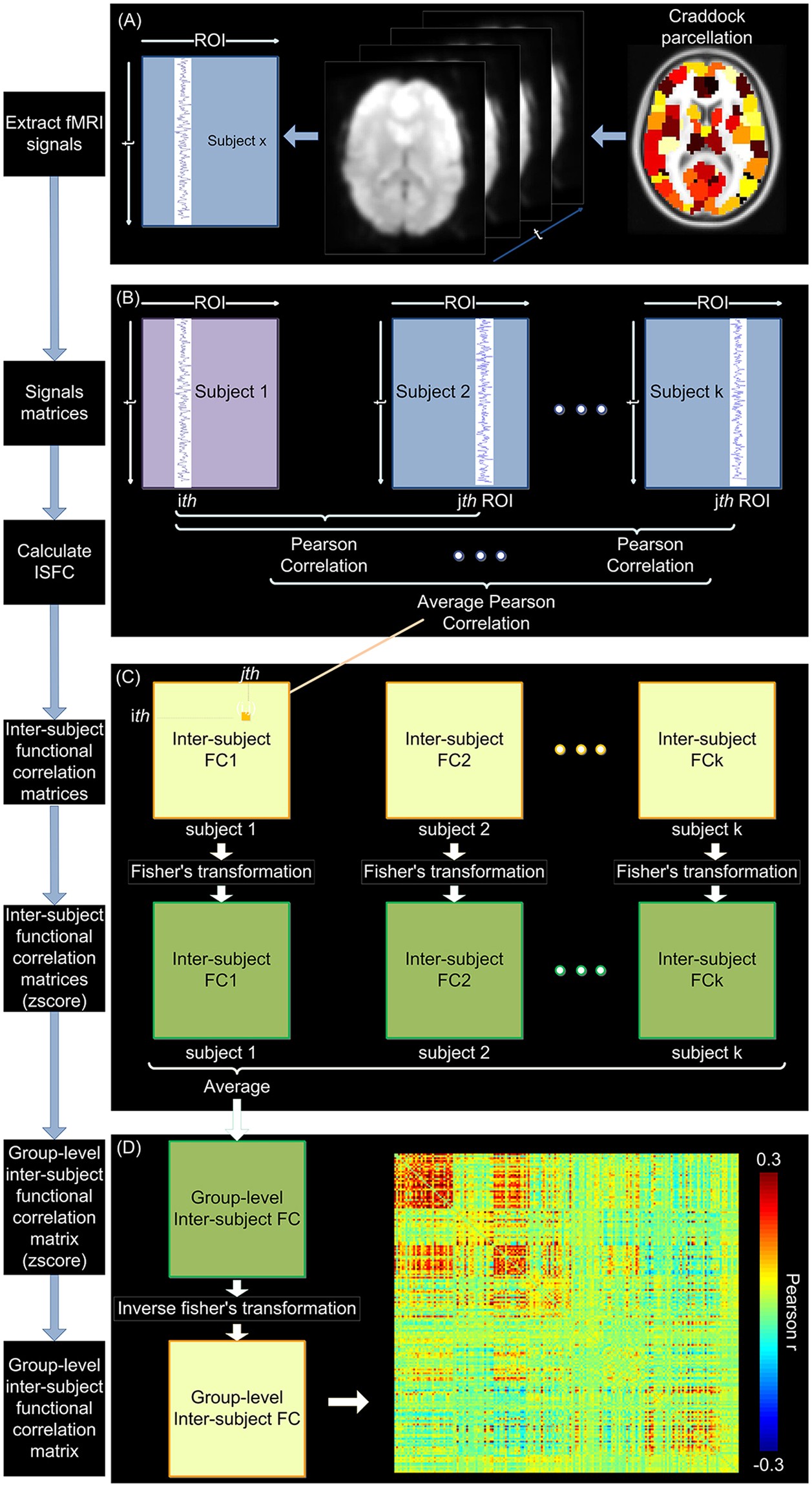 Inter Subject Functional Correlation Reveal A Hierarchical - 