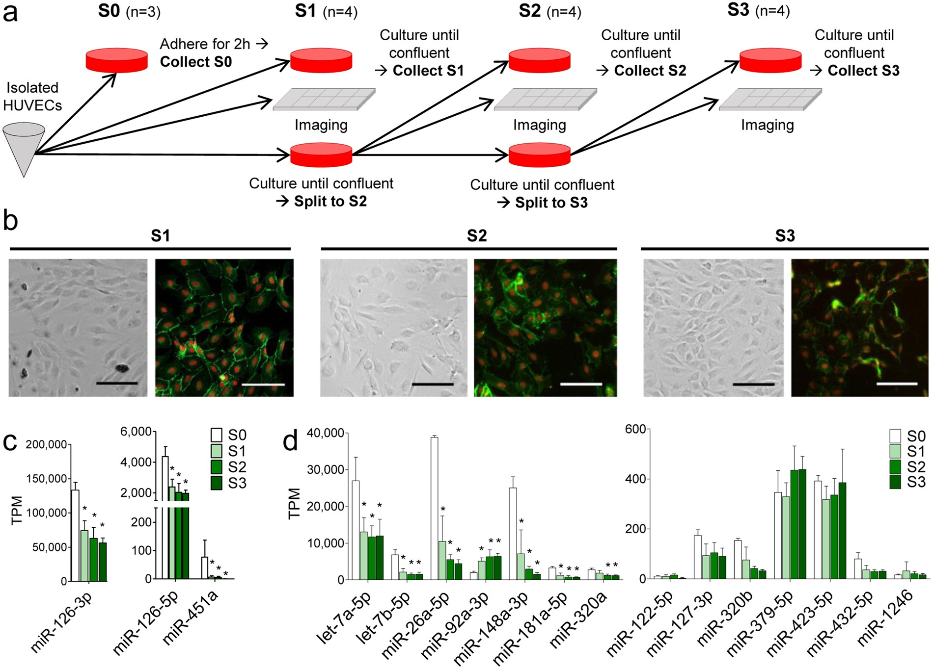 Microrna Profiling Reveals Distinct Profiles For Tissue Derived And Cultured Endothelial Cells Scientific Reports Microrna Profiling Reveals Distinct Profiles For Tissue Derived And Cultured Endothelial Cells Scientific Reports