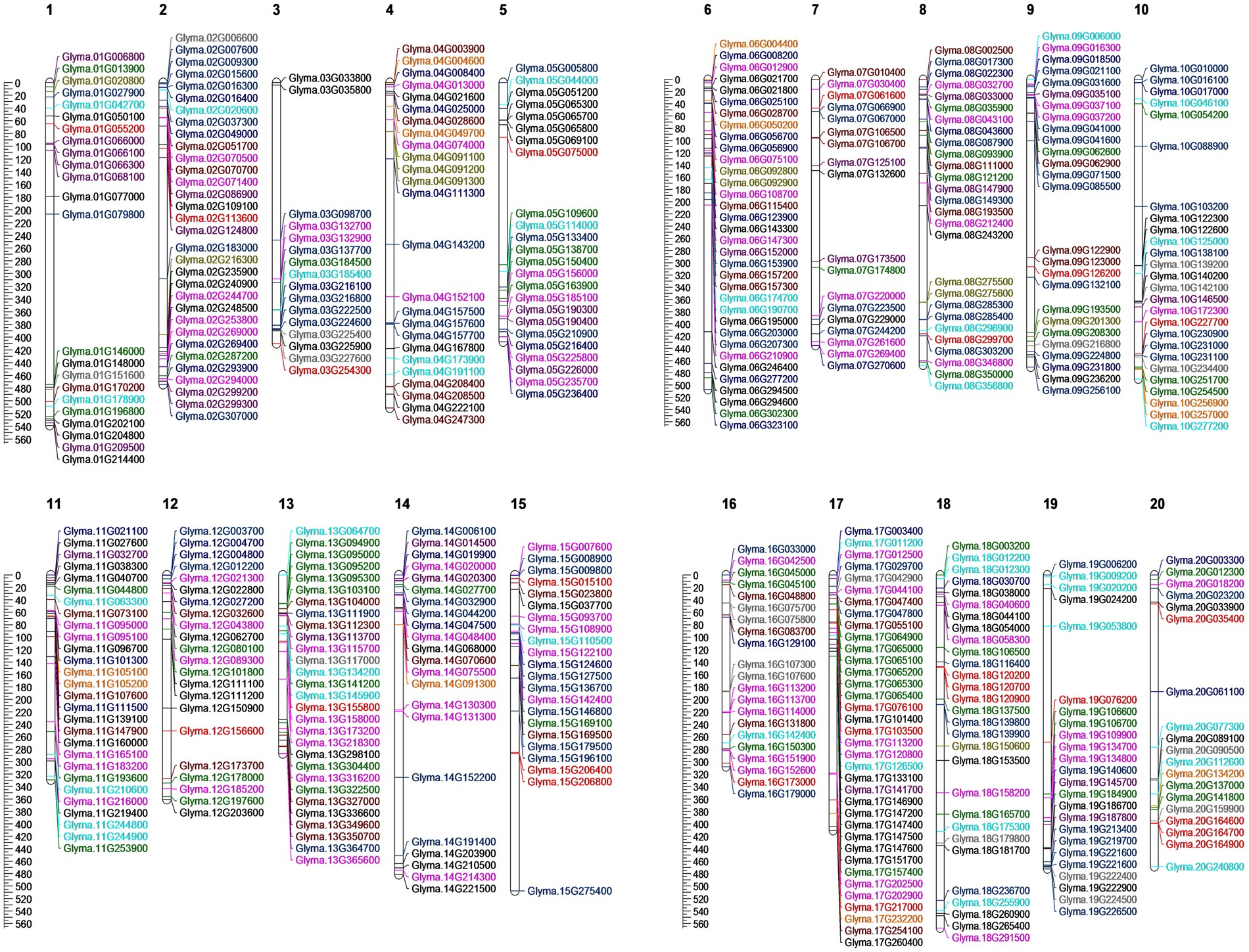 Systems Identification And Characterization Of Cell Wall