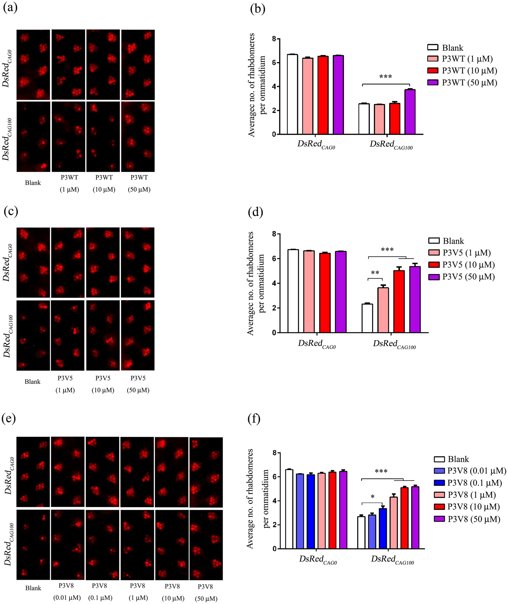 A Brain Targeting Lipidated Peptide For Neutralizing Rna Mediated Toxicity In Polyglutamine Diseases Scientific Reports