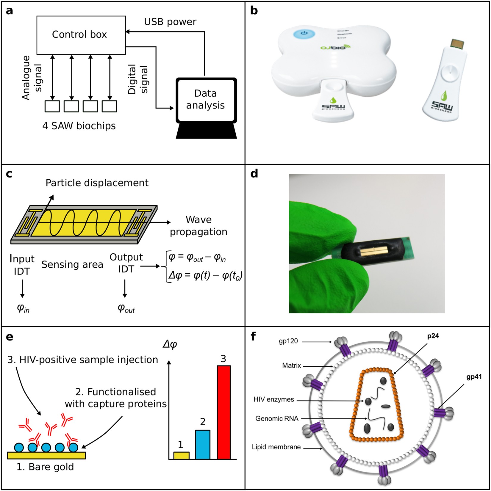 Towards An Ultra Rapid Smartphone Connected Test For - 