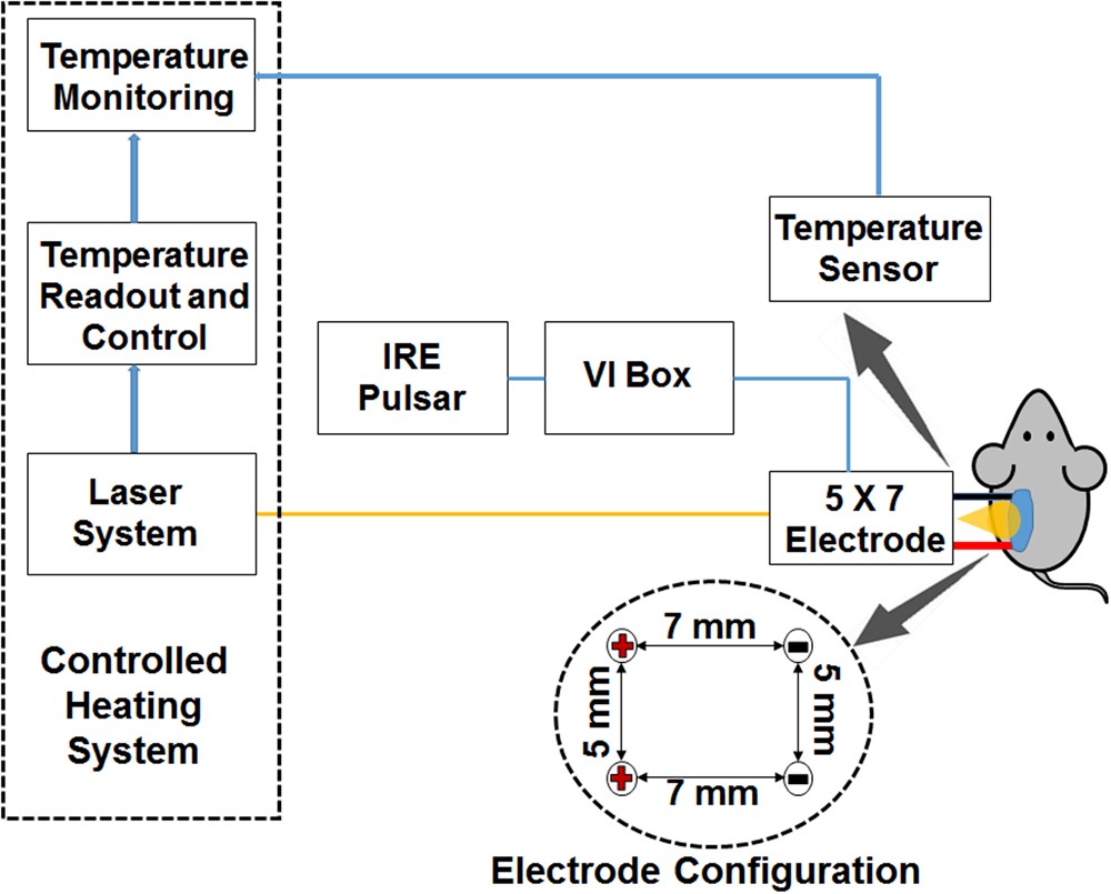 FRR - Oscilloscope Automatic Measurement Type - T&M Atlantic