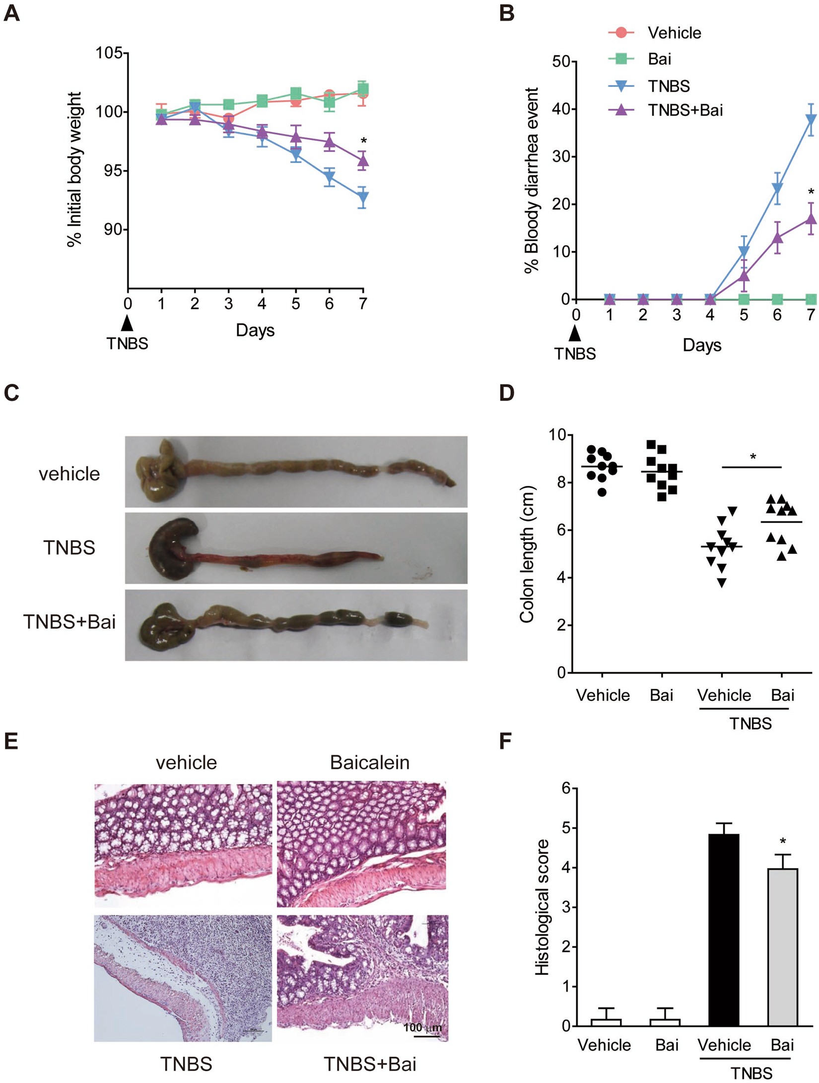 Baicalein ameliorates TNBS-induced colitis by suppressing TLR4/MyD88 signaling cascade and NLRP3 inflammasome activation in mice | Scientific Reports