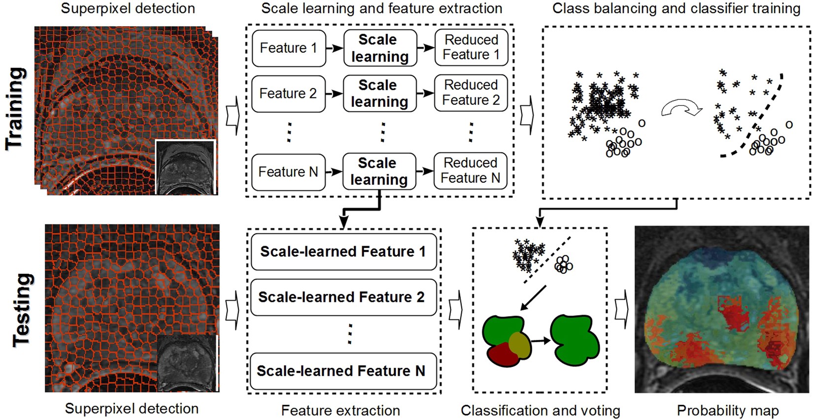 Discriminative Scale Learning (DiScrn): Applications to Prostate Cancer Detection from MRI and Needle Biopsies | Scientific Reports