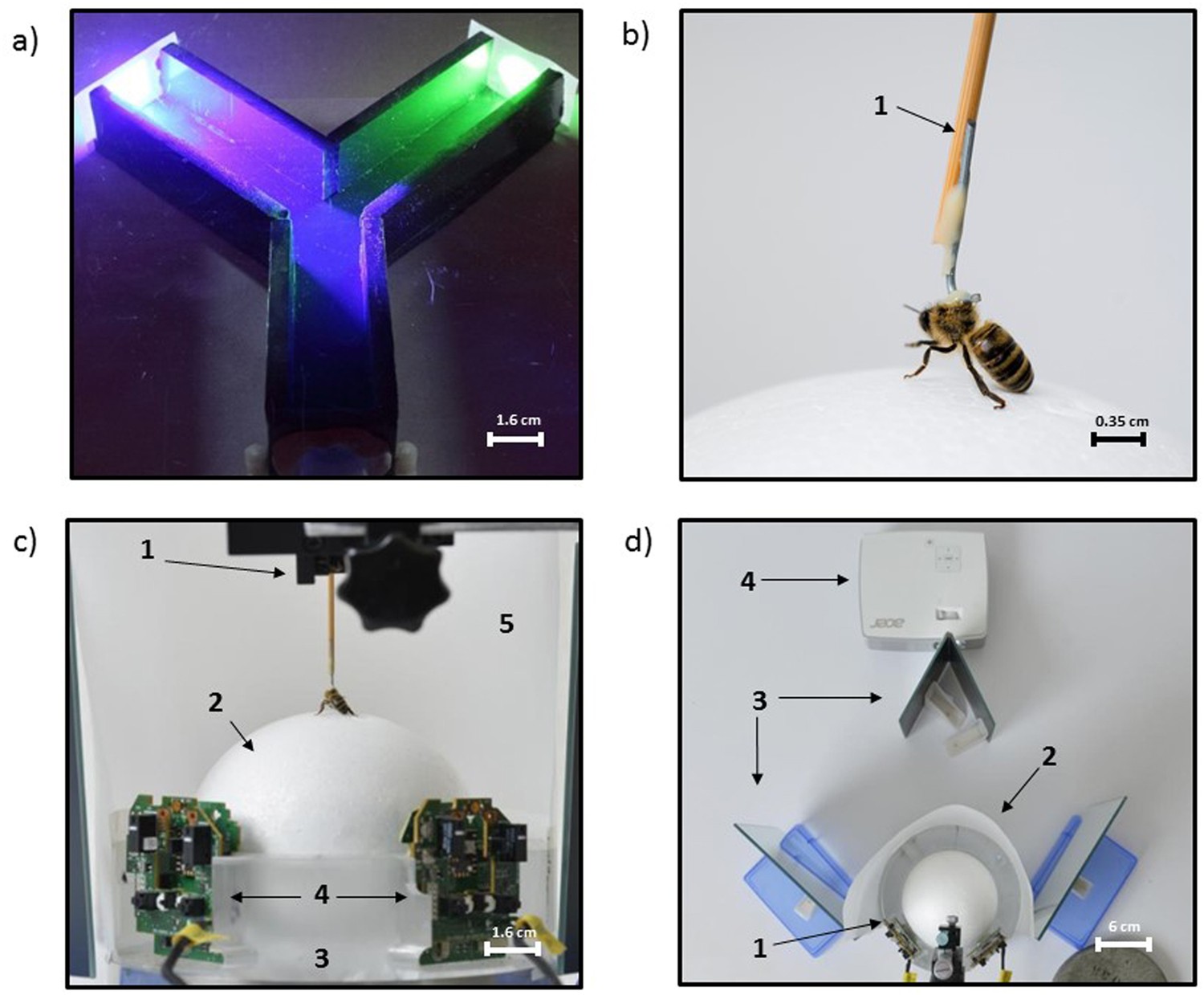 Associative visual learning by tethered bees in a controlled visual  environment | Scientific Reports