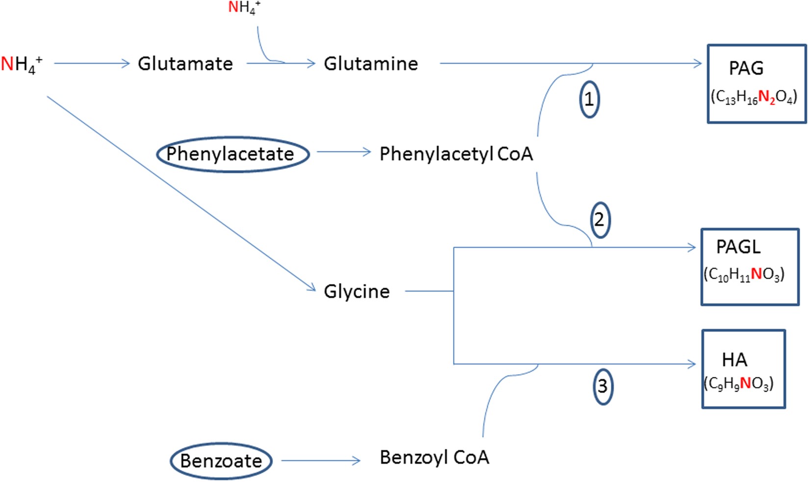 l-carnitine and ammonia levels Science review: Carnitine in the treatment of valproic acid-induced  toxicity – what is the evidence? | Critical Care main image 0