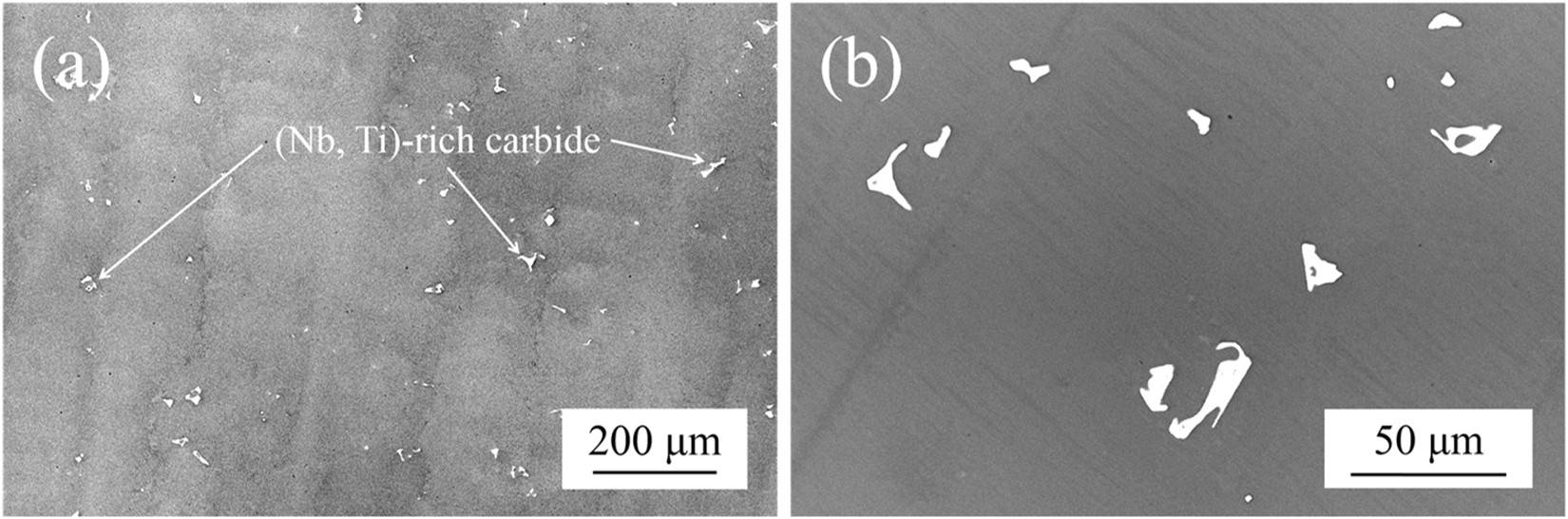 https://media.springernature.com/full/springer-static/image/art%3A10.1038%2Fs41598-017-13026-7/MediaObjects/41598_2017_13026_Fig1_HTML.jpg