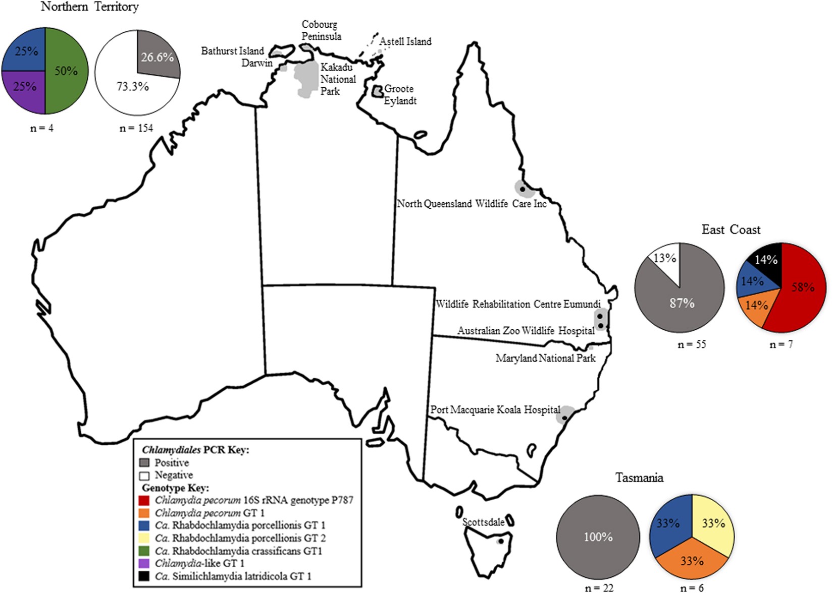 molecular evidence of chlamydia pecorum and arthropod associated