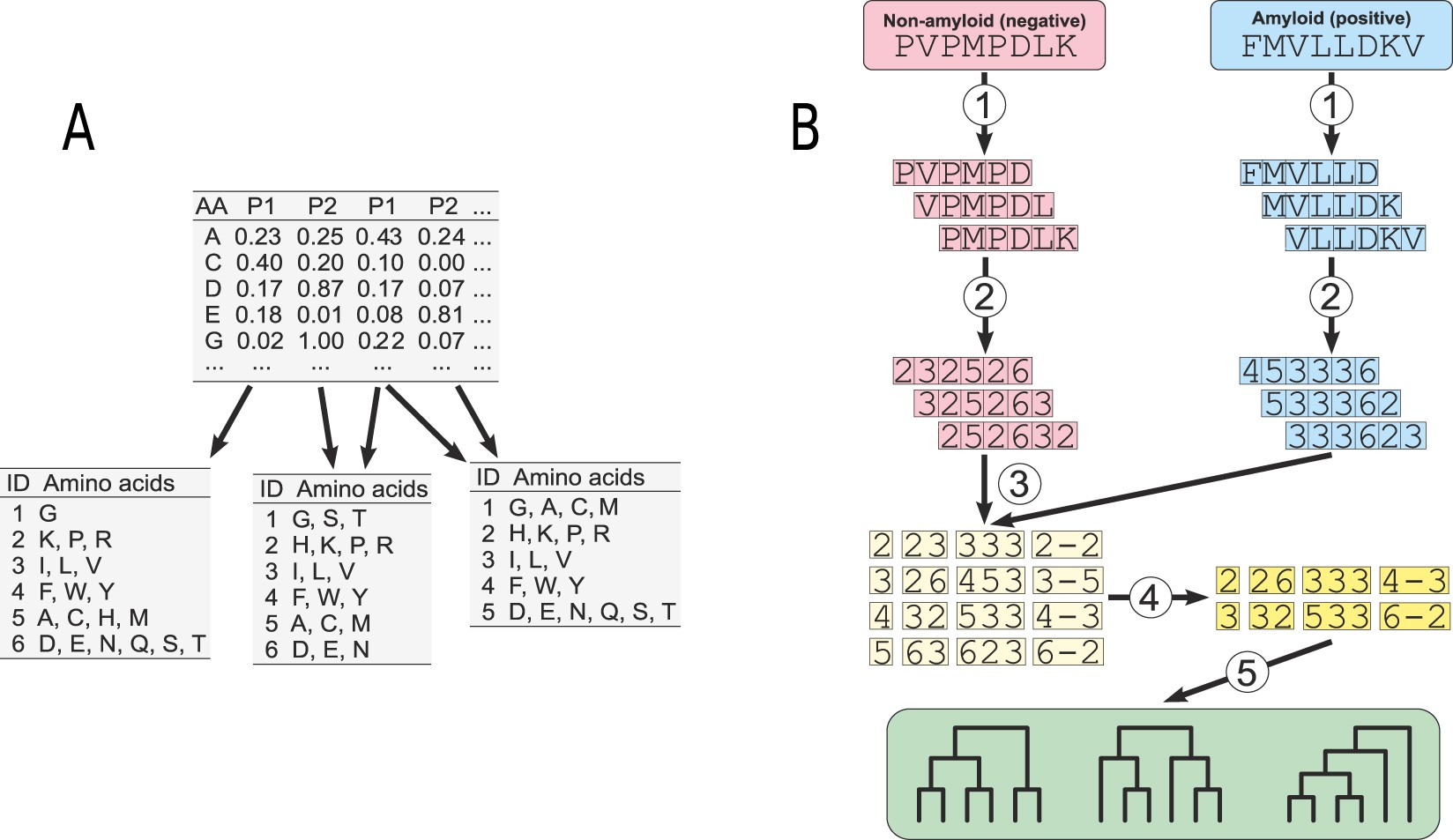 Amyloidogenic motifs revealed by n gram analysis   Scientific Reports