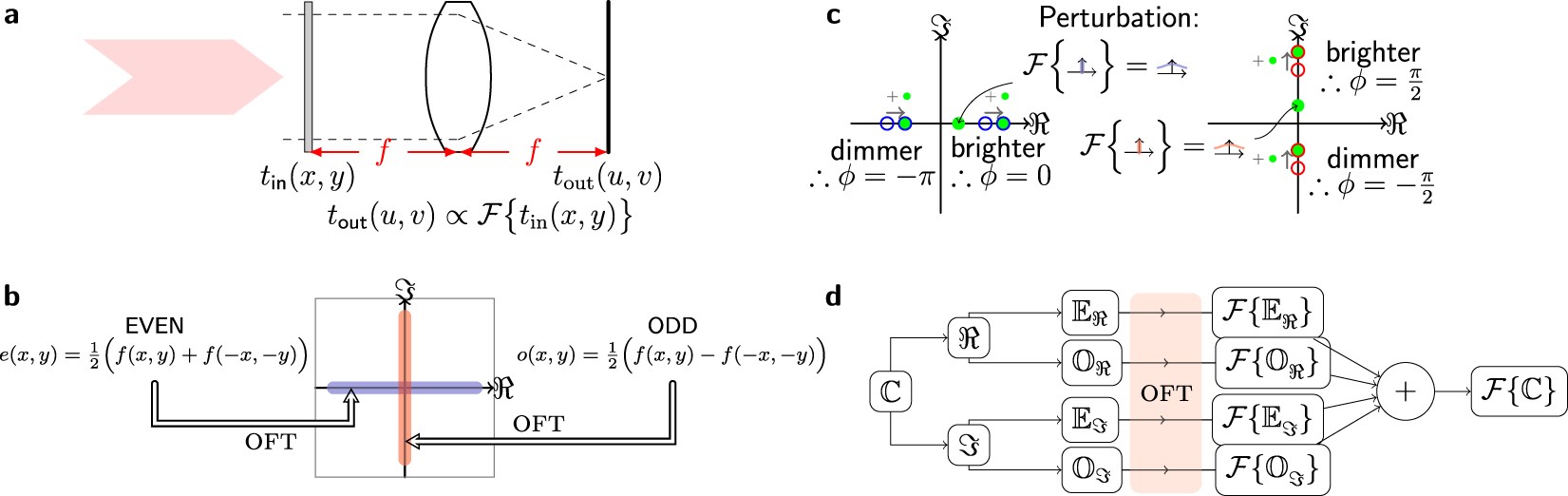 An optical Fourier transform coprocessor with direct phase determination |  Scientific Reports