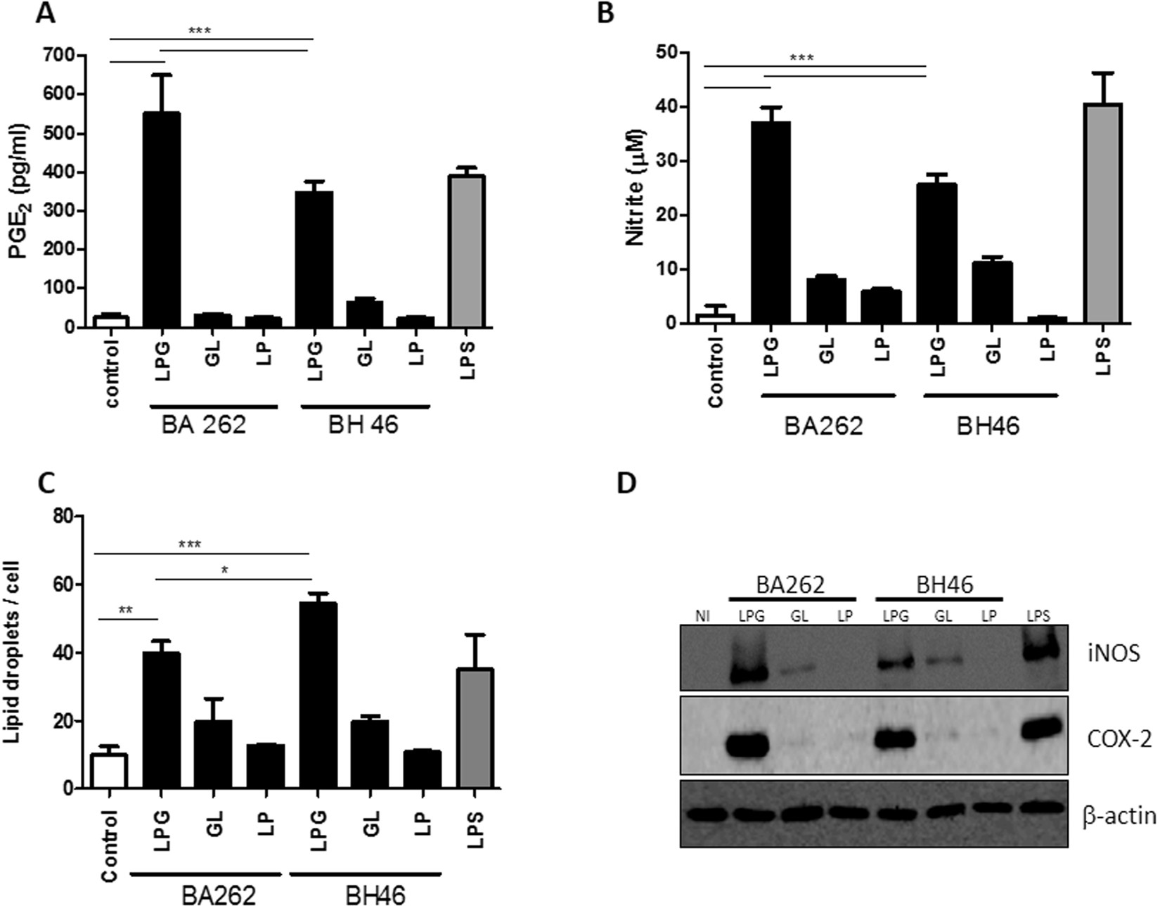 Leishmania infantum lipophosphoglycan induced-Prostaglandin E2 production  in association with PPAR-γ expression via activation of Toll like  receptors-1 and 2 | Scientific Reports
