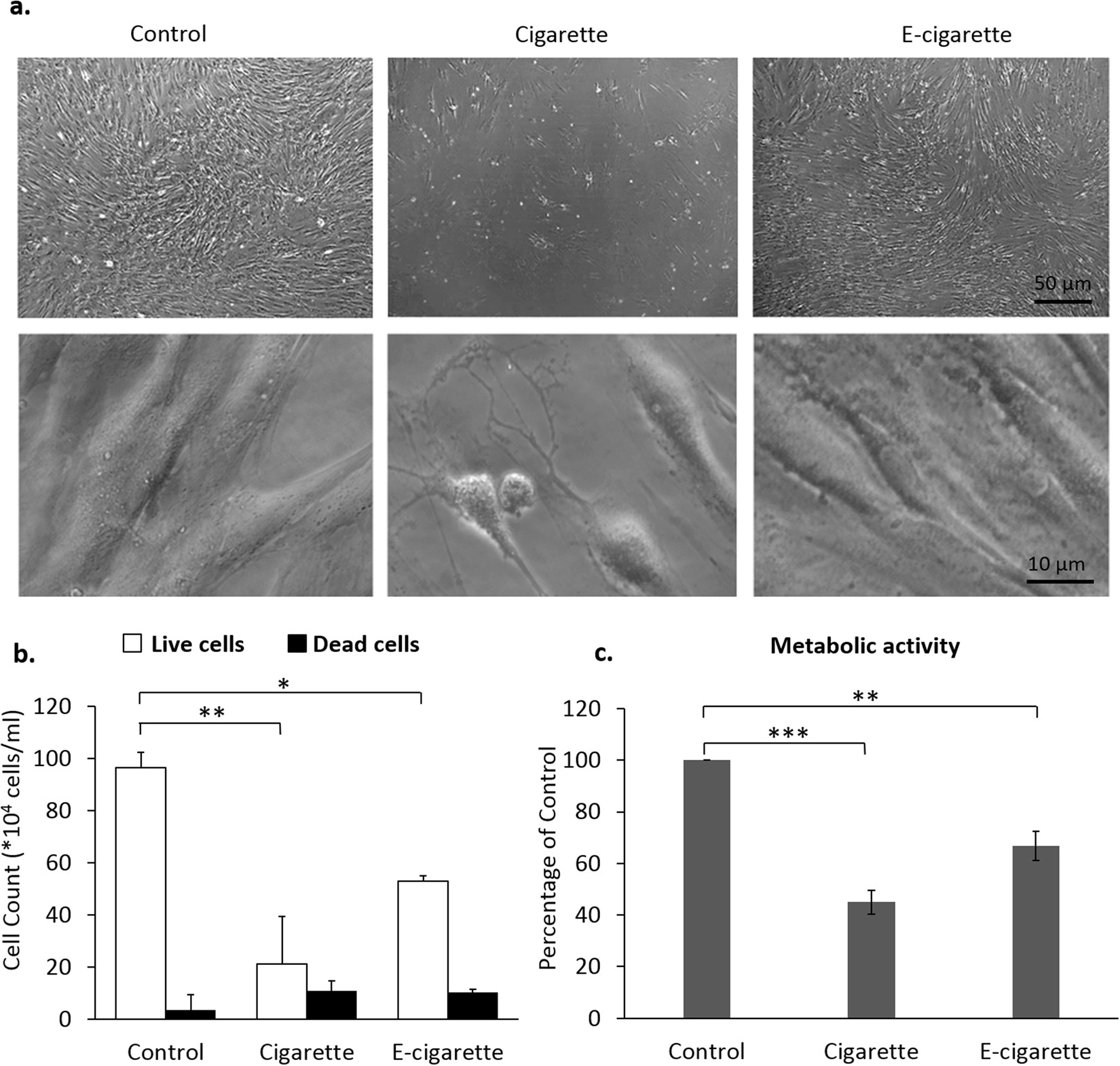 Electronic Cigarette Smoke Impairs Normal Mesenchymal Stem Cell  Differentiation