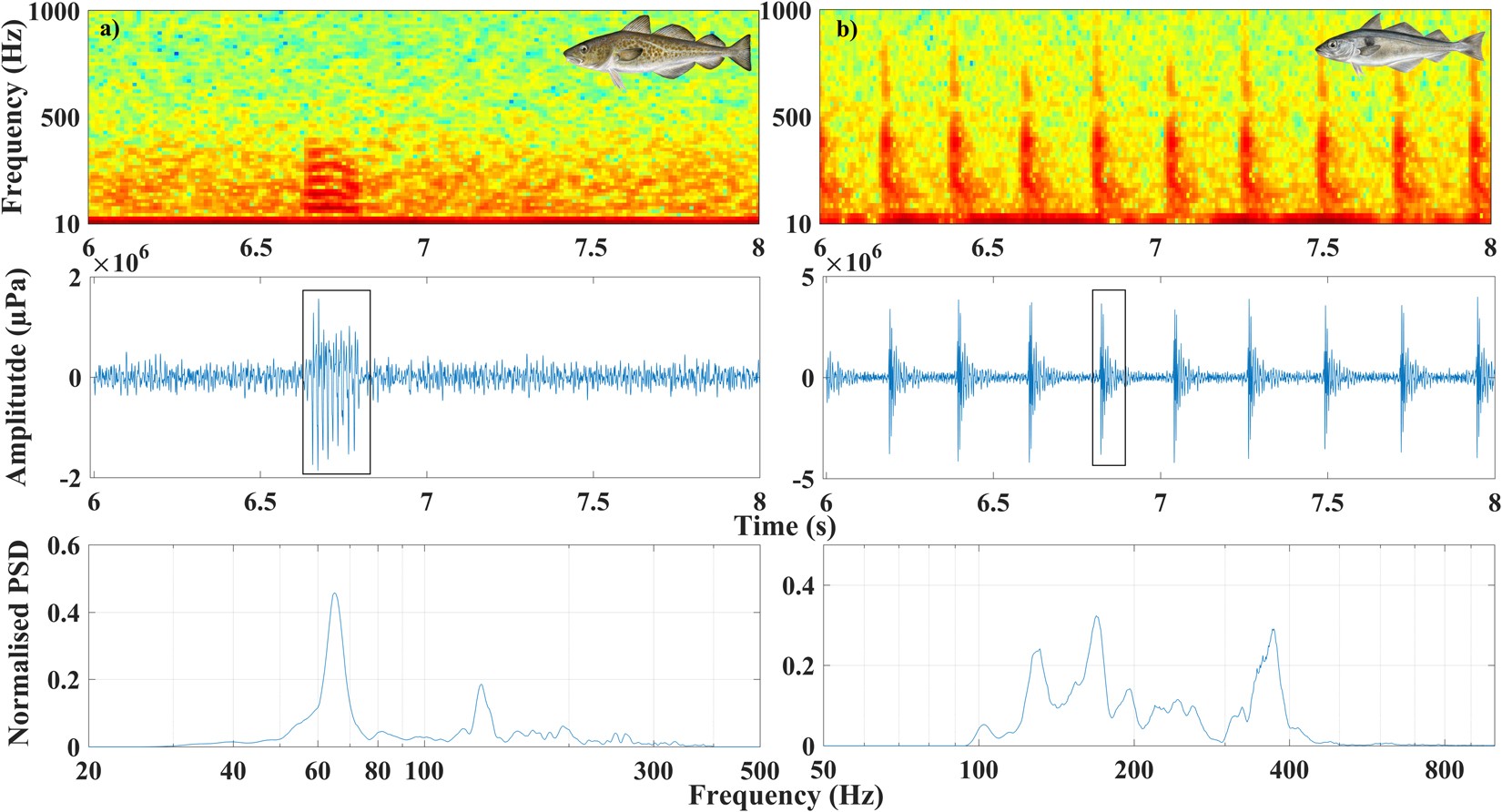 Underwater sound from vessel traffic reduces the effective communication  range in Atlantic cod and haddock