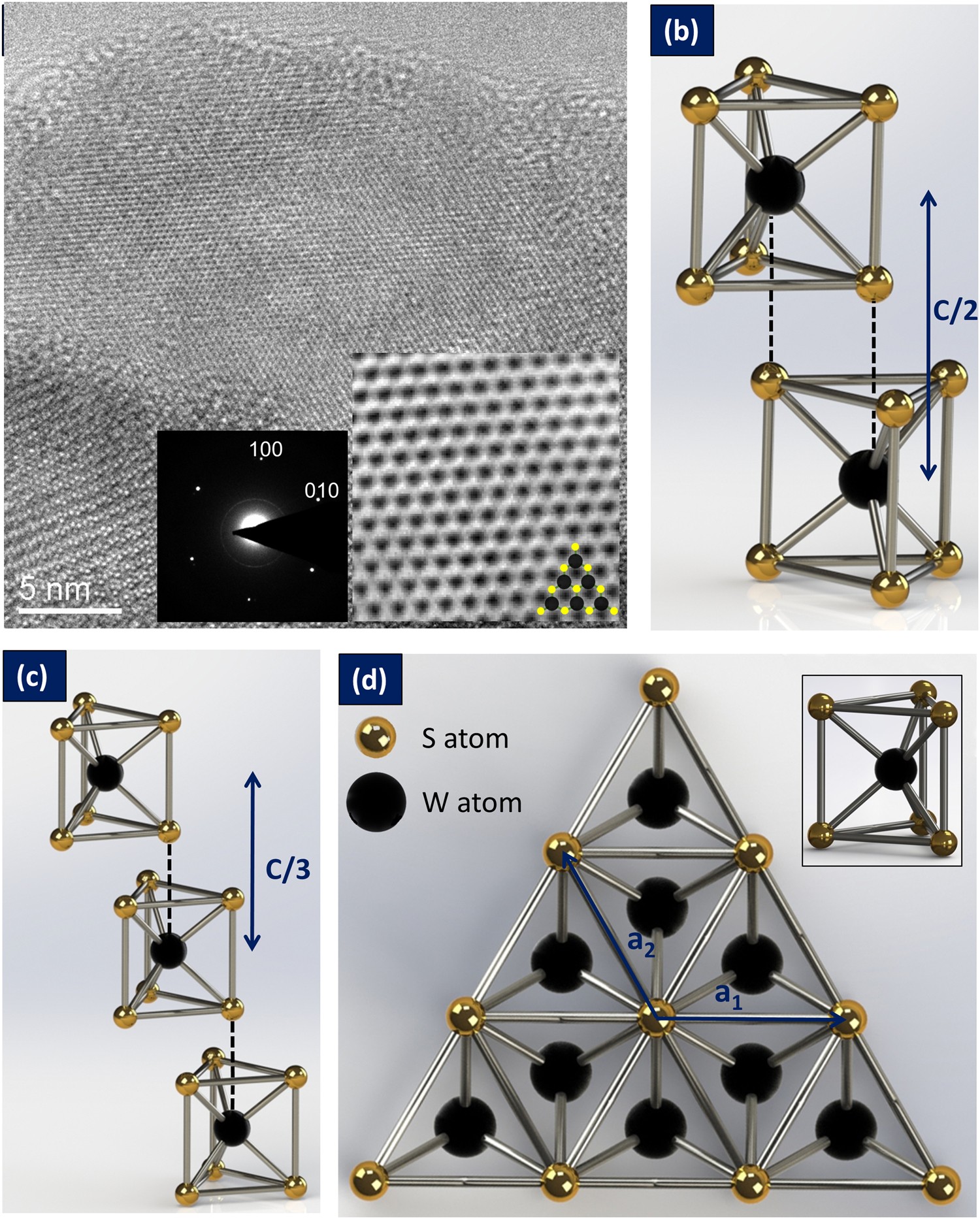 Exfoliated Ws 2 Nafion Composite Based Electromechanical