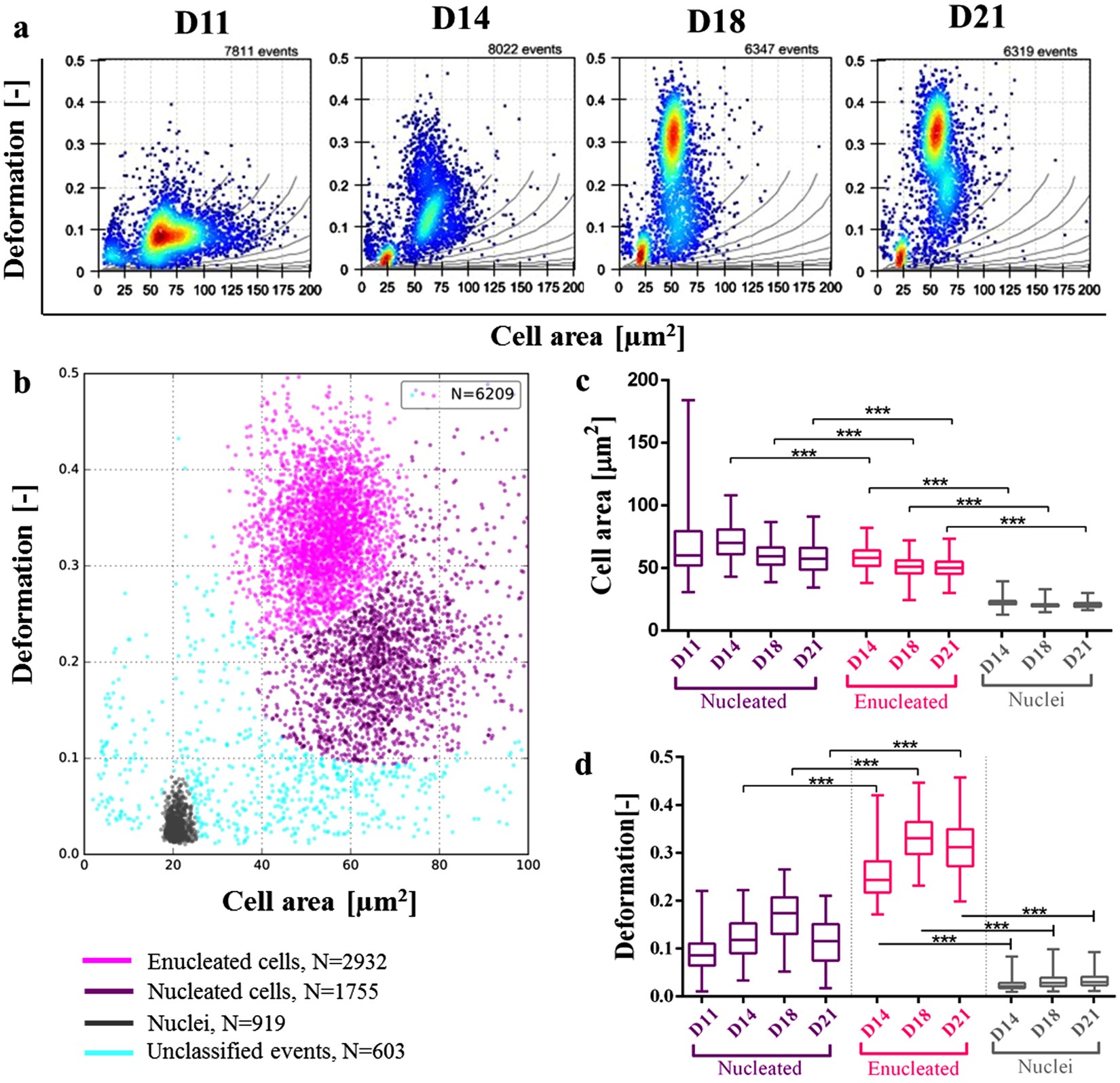 High-throughput assessment of mechanical properties of stem cell derived red blood cells, toward cellular downstream processing | Scientific Reports