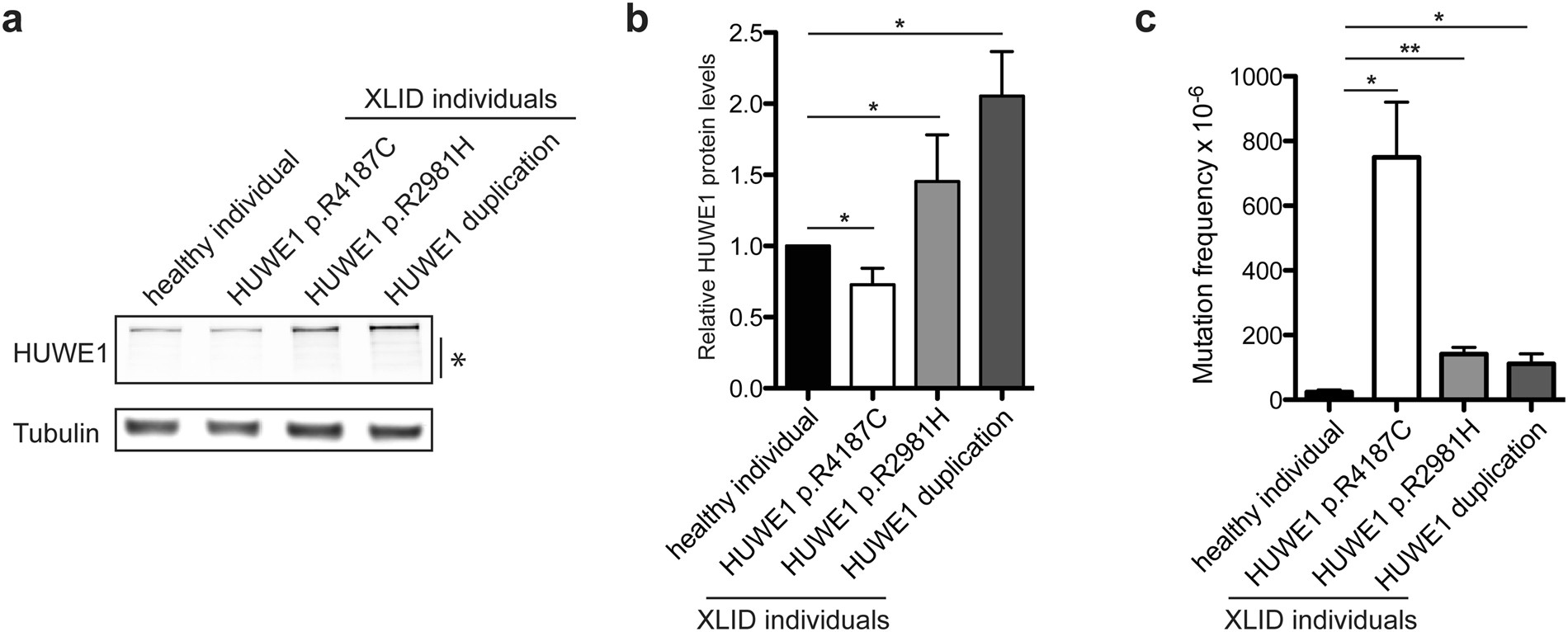 Impaired Oxidative Stress Response Characterizes Huwe1 Promoted X Linked Intellectual Disability Scientific Reports