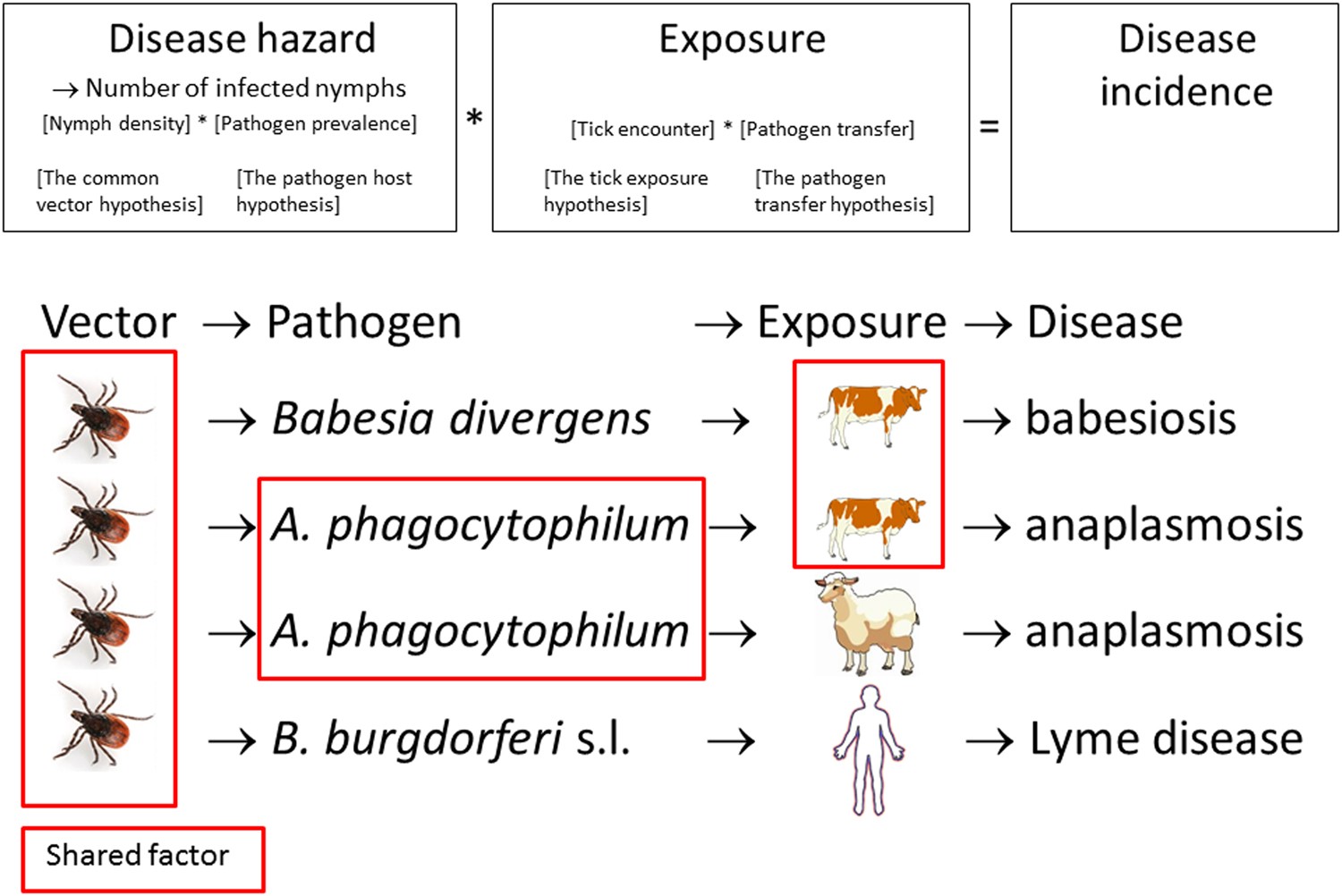 Frontiers  A One-Health Approach to Investigating an Outbreak of  Alimentary Tick-Borne Encephalitis in a Non-endemic Area in France (Ain,  Eastern France): A Longitudinal Serological Study in Livestock, Detection  in Ticks, and