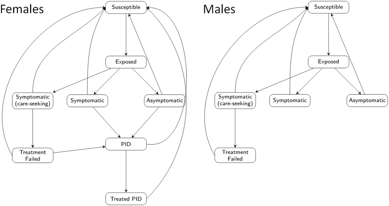 Std Symptoms In Men Chart