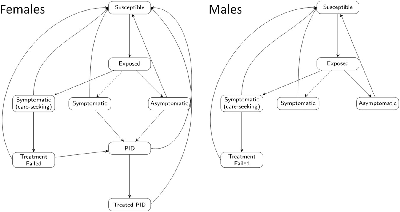 Std Treatment Chart