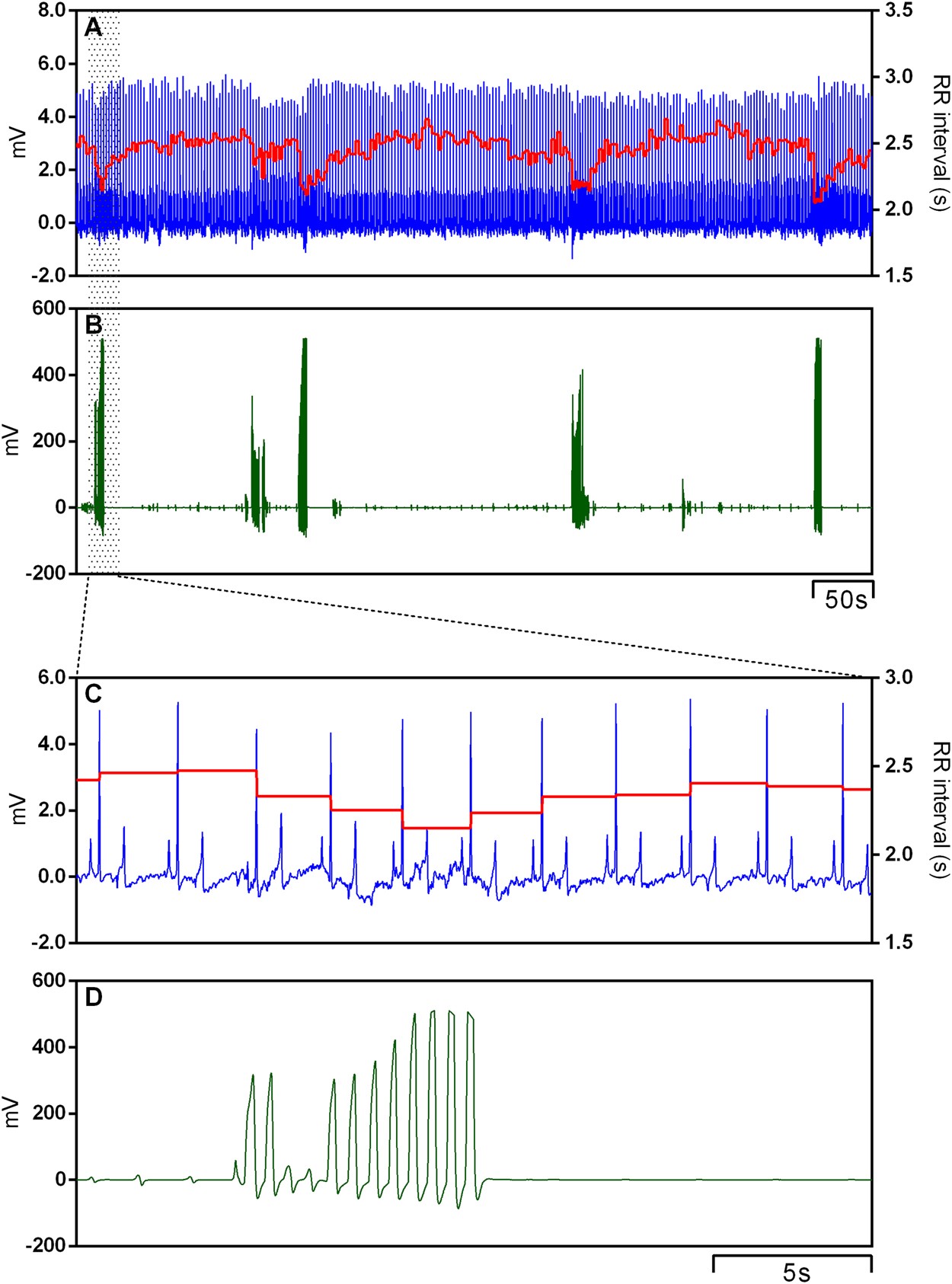 Resting Respiratory Rate Dog Chart