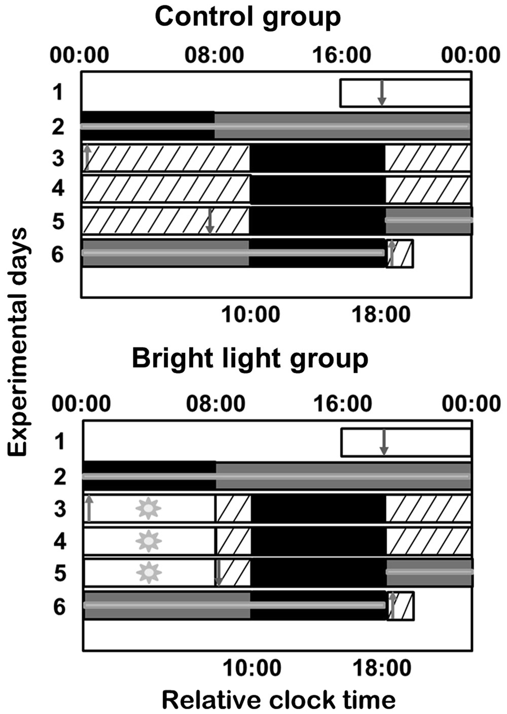 Rapid resetting of human peripheral clocks by phototherapy during simulated  night shift work | Scientific Reports